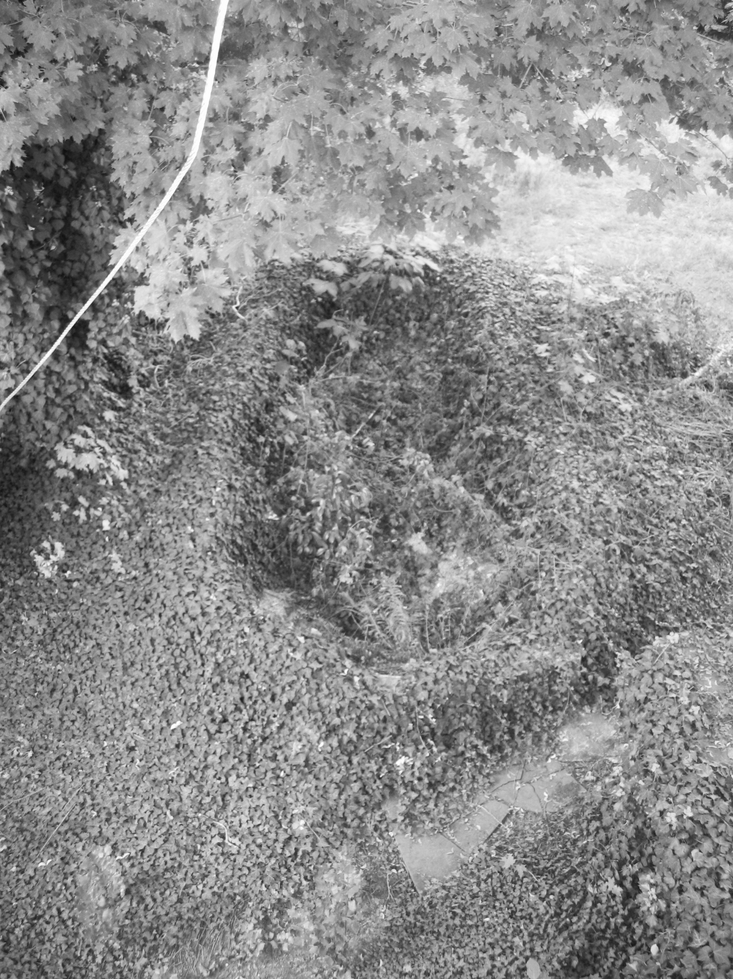 Karlsruhe Weststadt, 2009