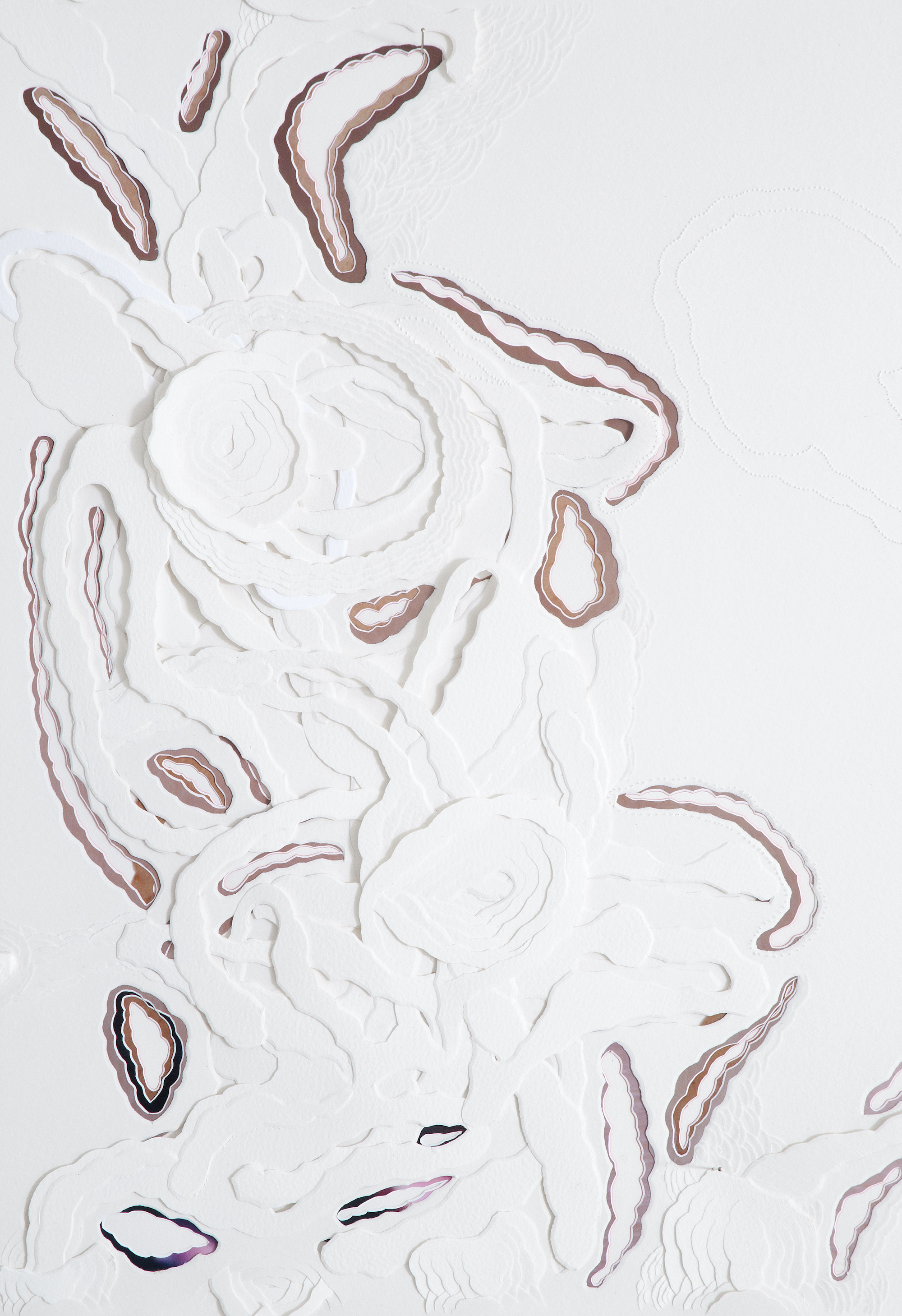  Untitled, 2009 (detail)