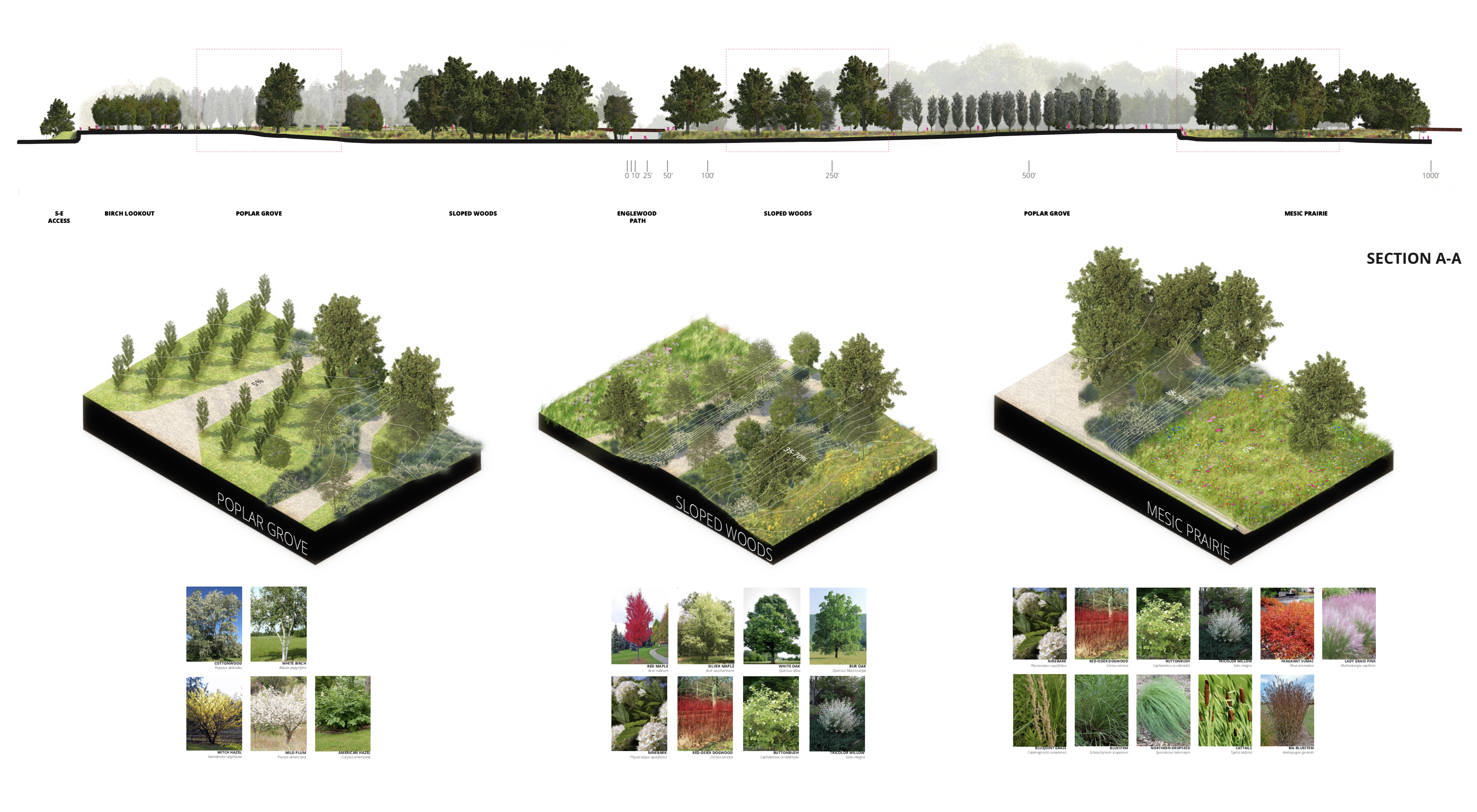 Ecological Regions, Alexis Arias Betancourt, Spring 2020