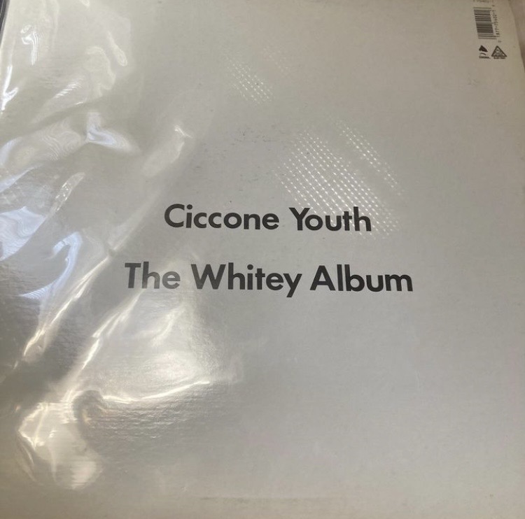 When I was fifteen, I was crazy about..