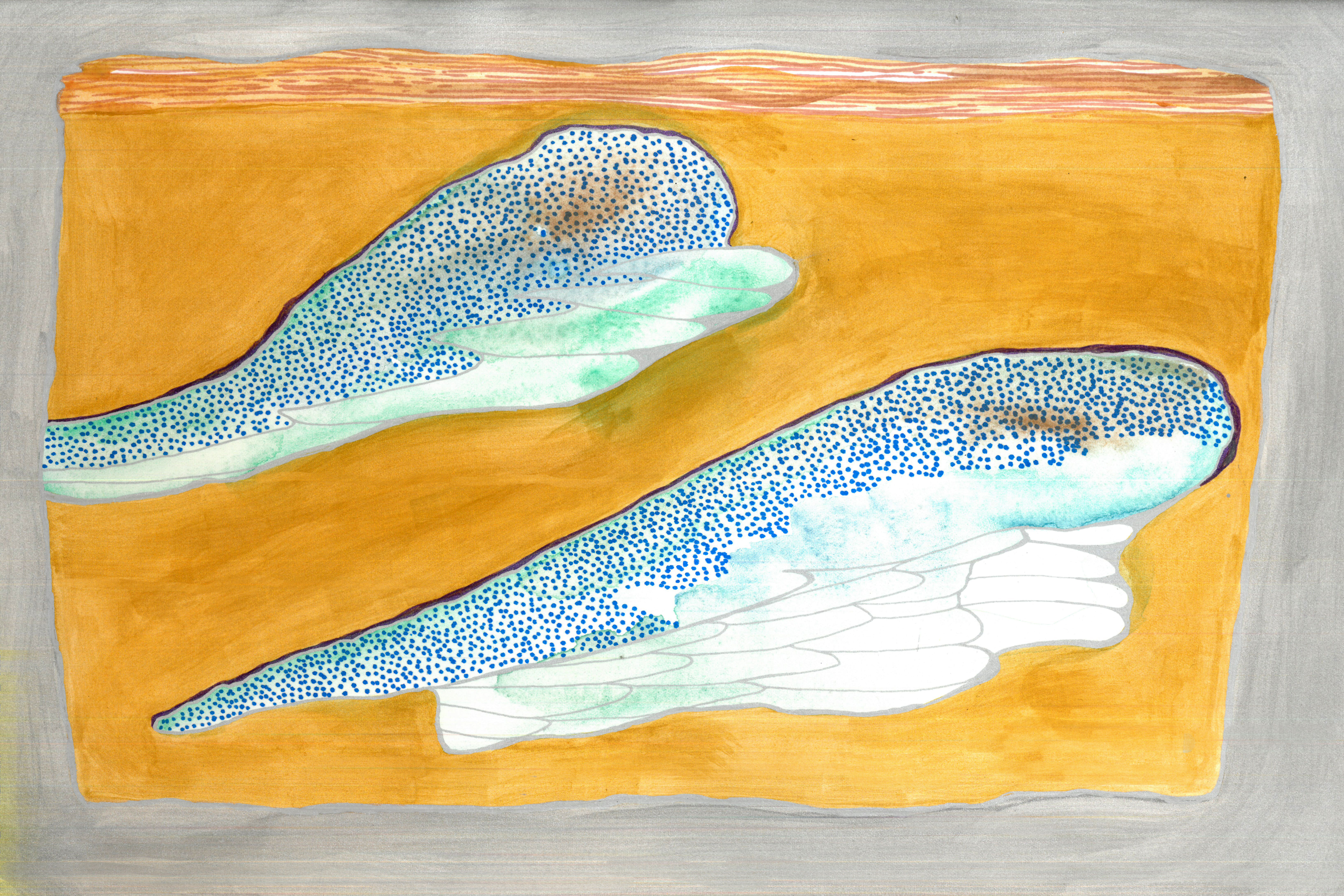 Geologic Cross Sections Showing Effect of Miscorrelation