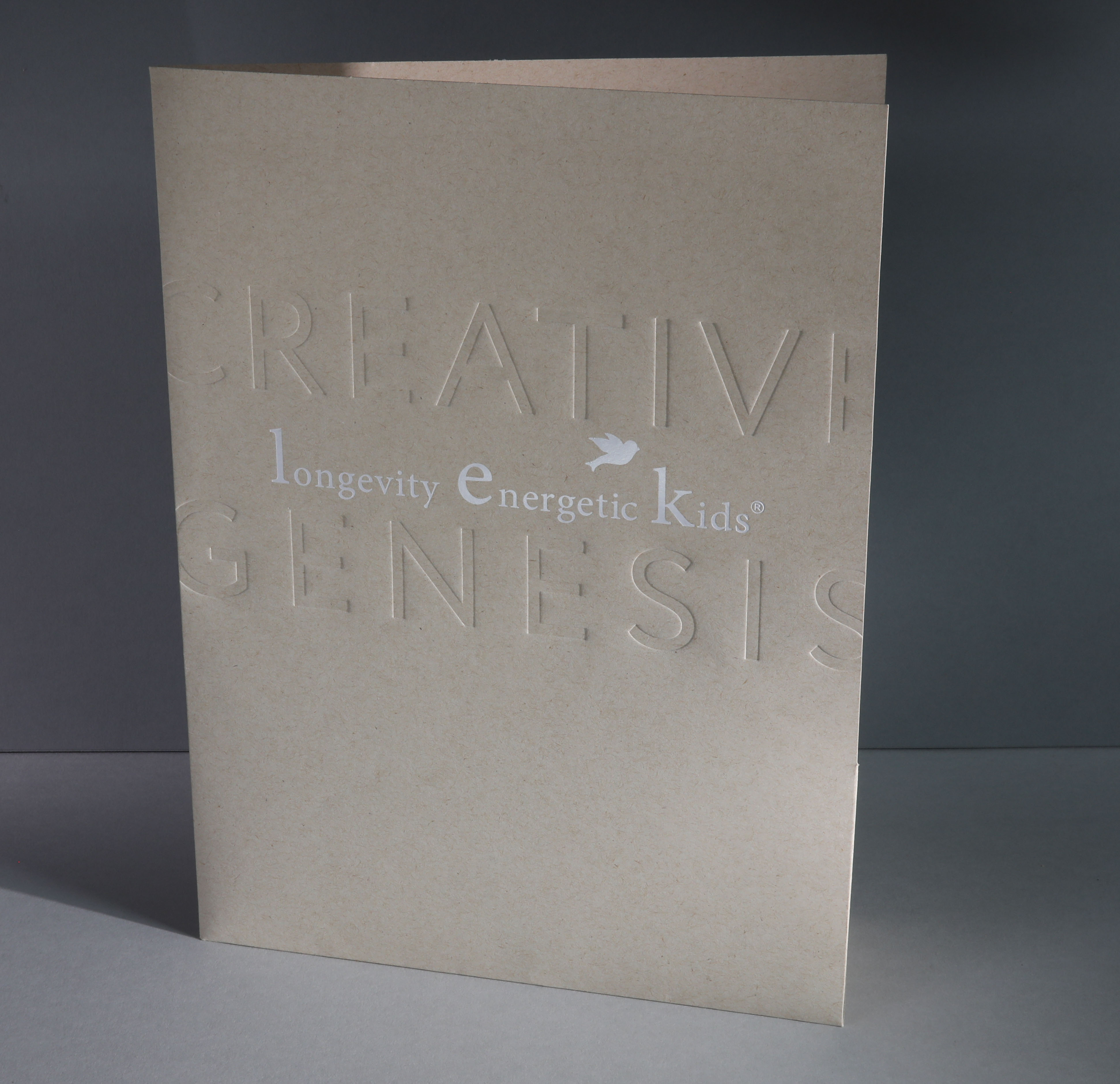 Foil STAMPING & BLIND IMPRESSIONCreative Genesis folder