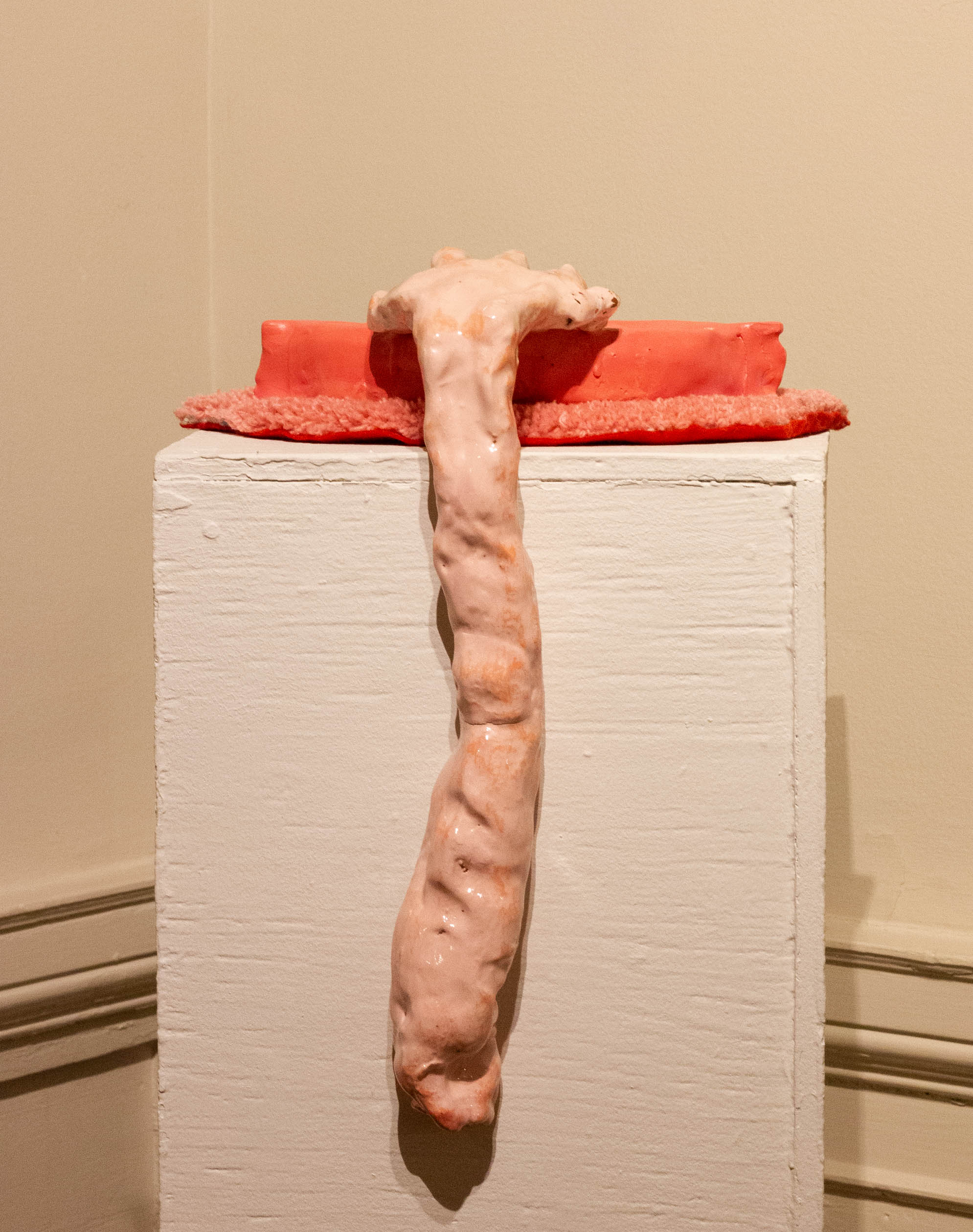 Não Morde (Don't Bite)