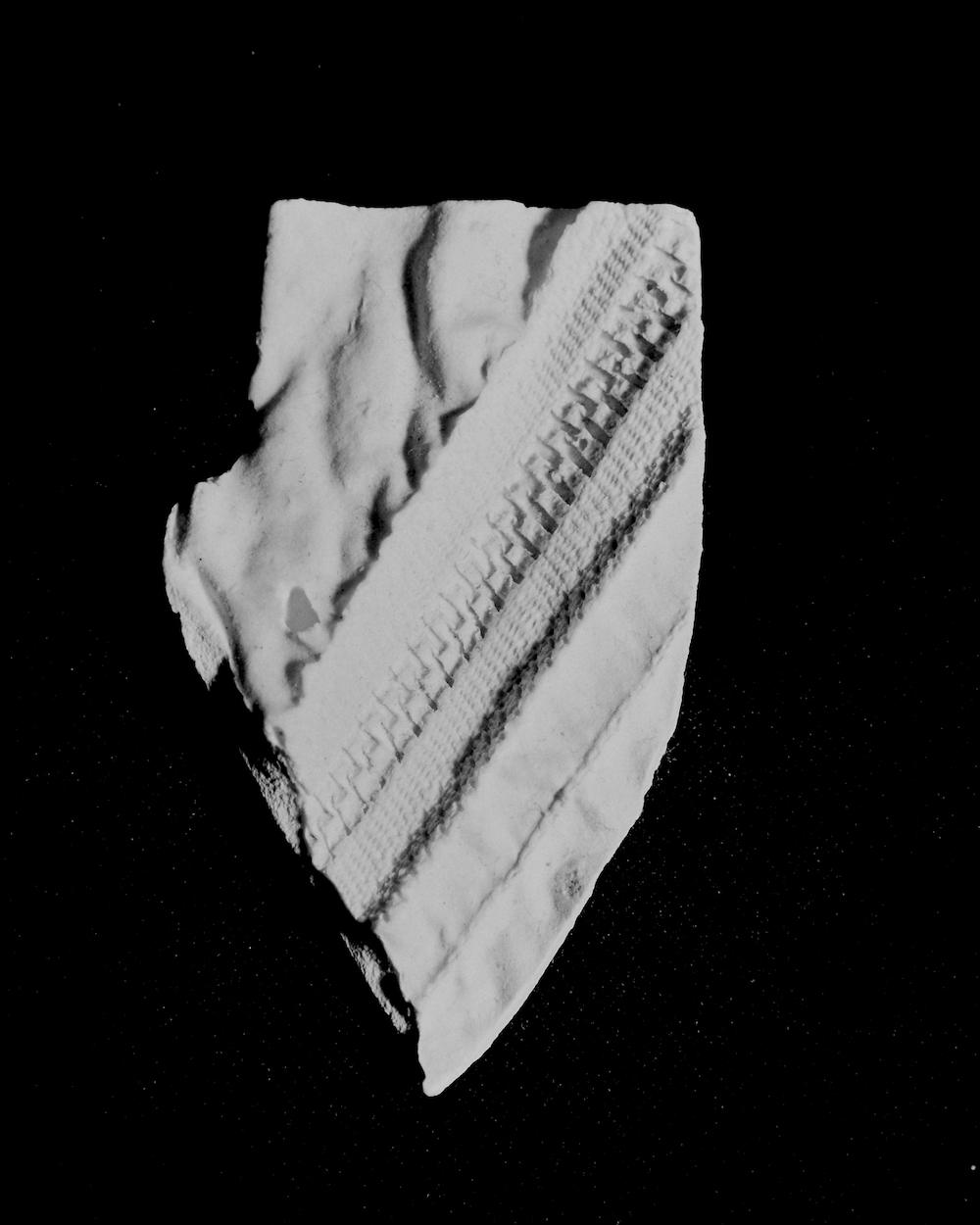 NICOTINE MAGAZINE, 2023