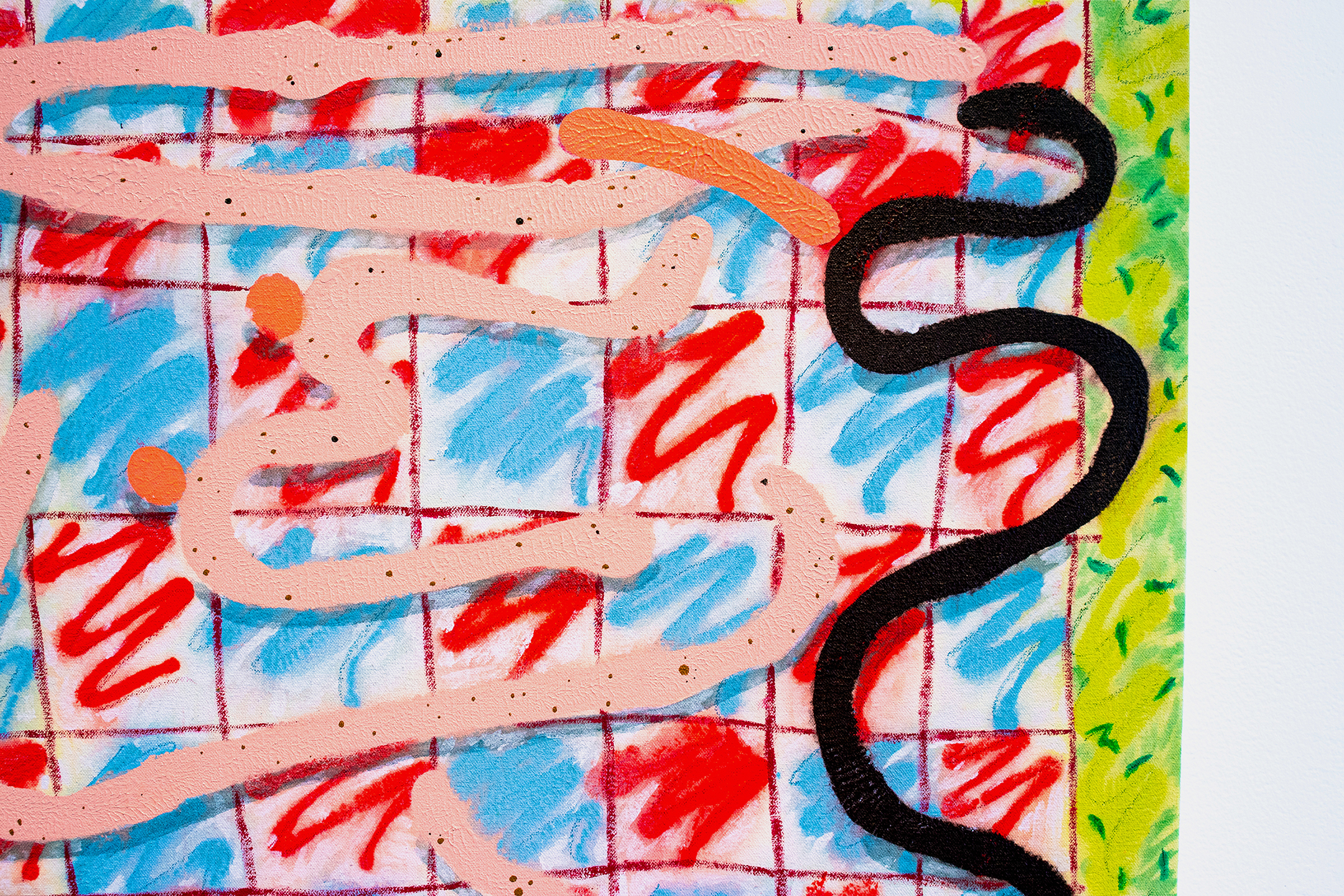 detail of Freckle Maker