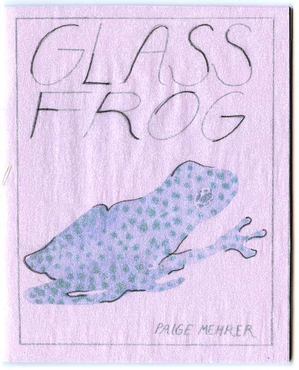 Glass Frog $6