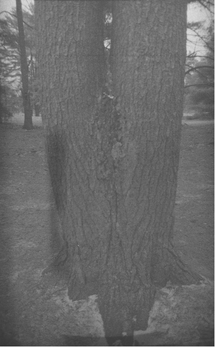 Saratoga Spring, NY 2025