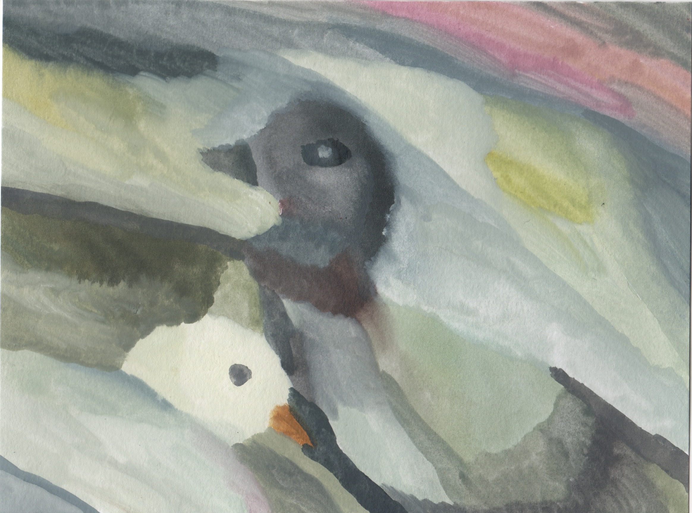 On the roof, watercolour on paper