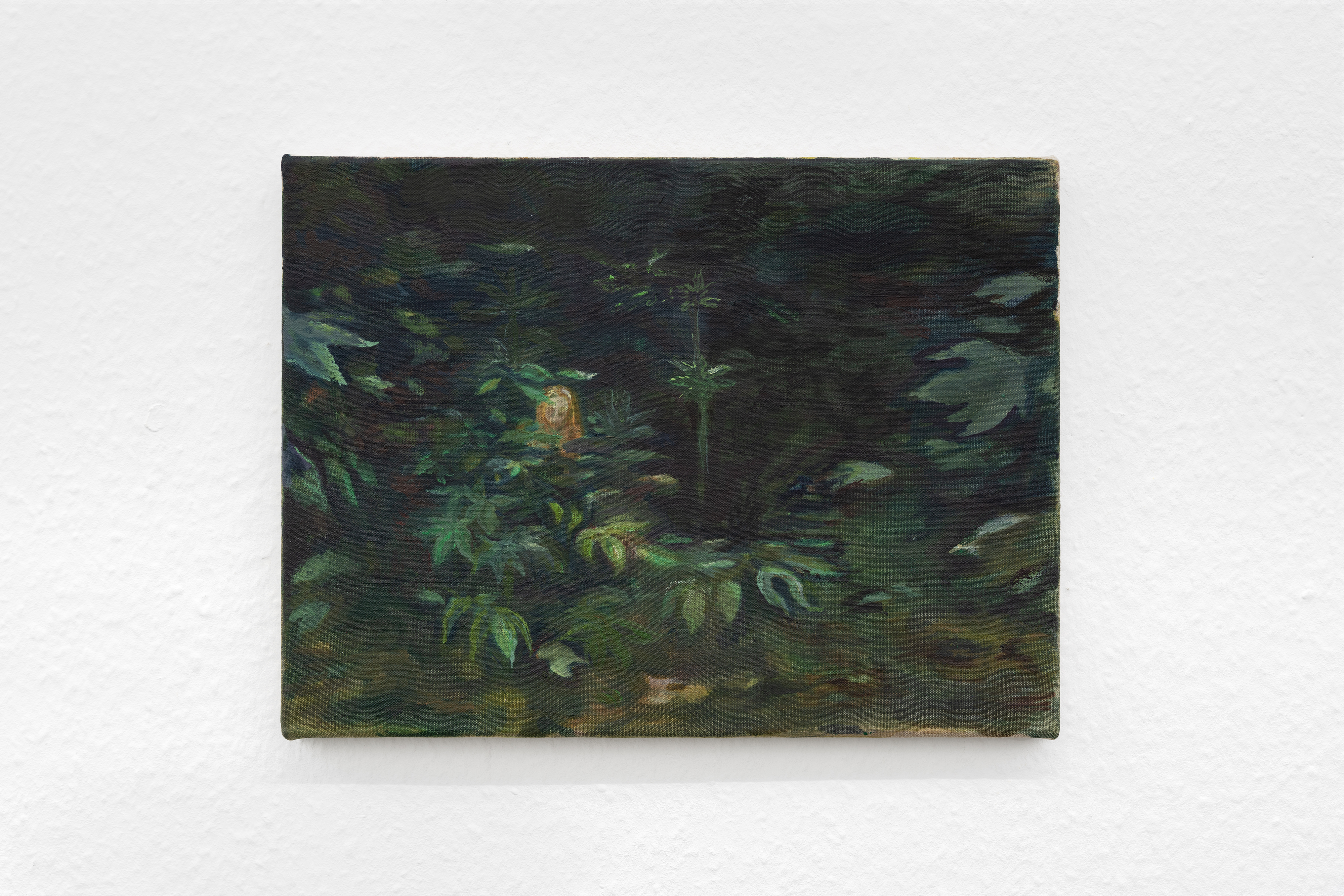 Nachtschattengewächs, 2022, 30 x 40 cm oil on canvas