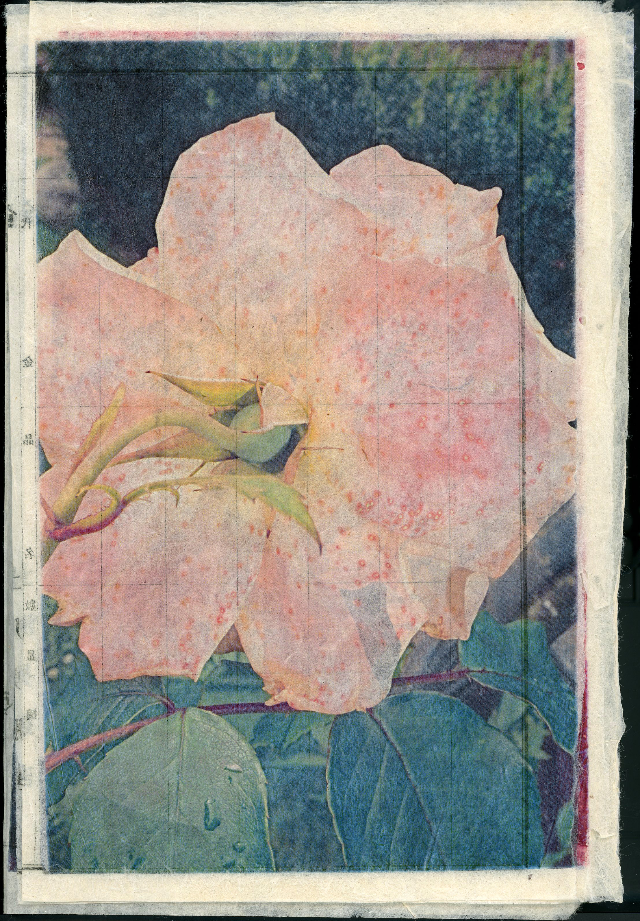 "Comptes d'imperfections et de certitudes",  Japanese paper, 2021