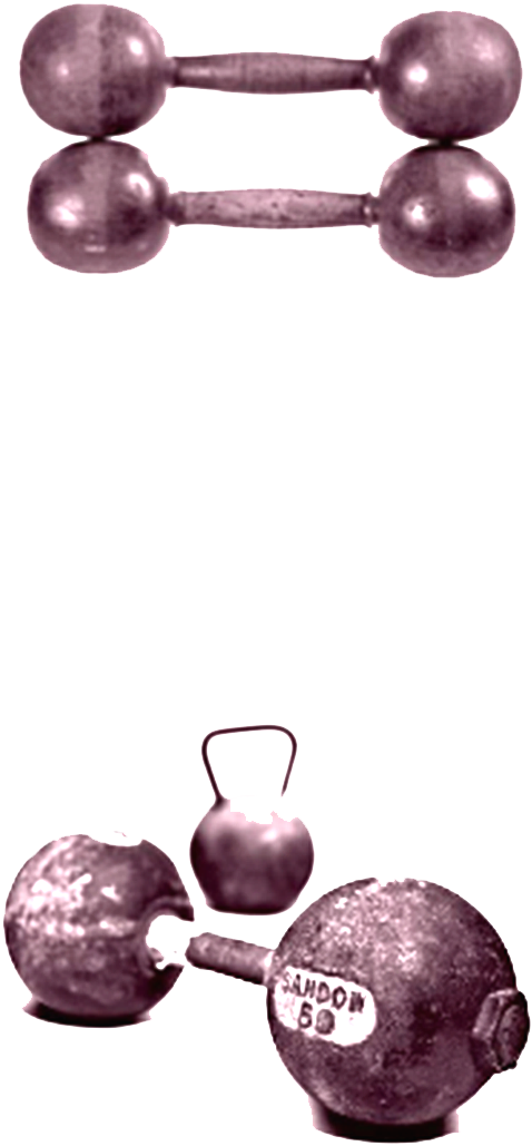 A pair of metallic, dark purple dumbbells stacked on top of each other. 