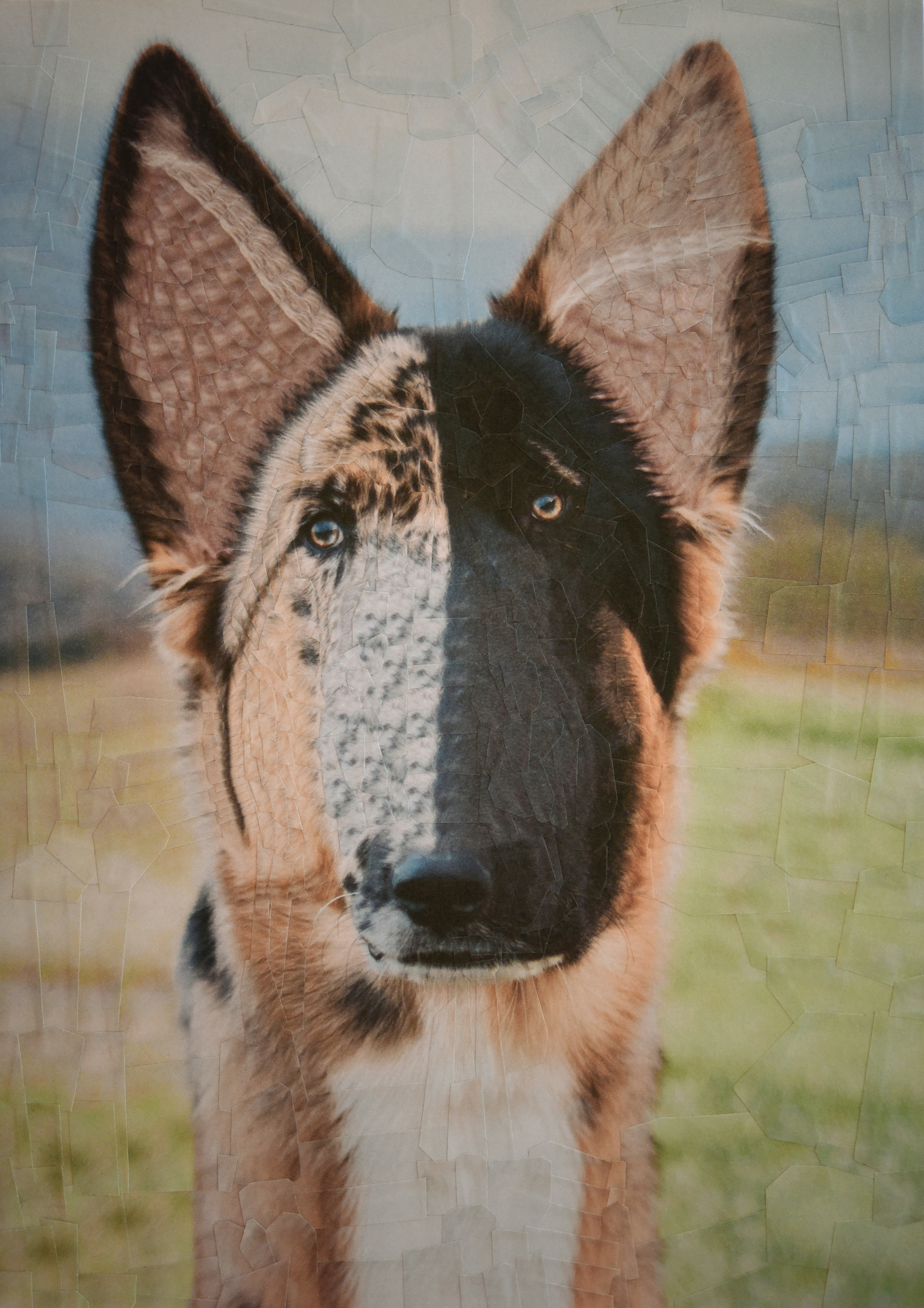 Logan, 2018, 8.2 x 11.6 inches