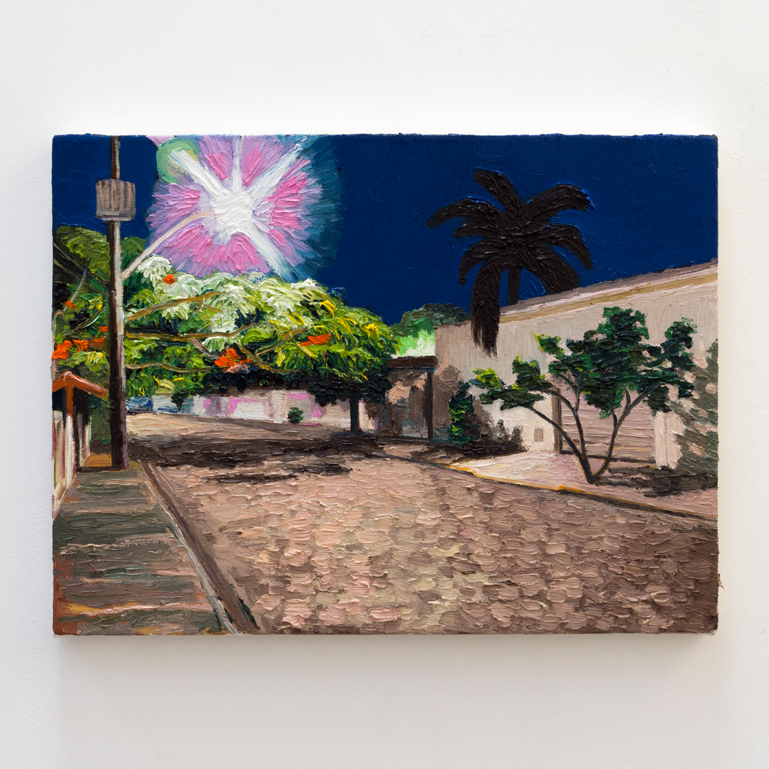 Flamboyant, 2024&oacute;leo sobre tela30 x 40 cm