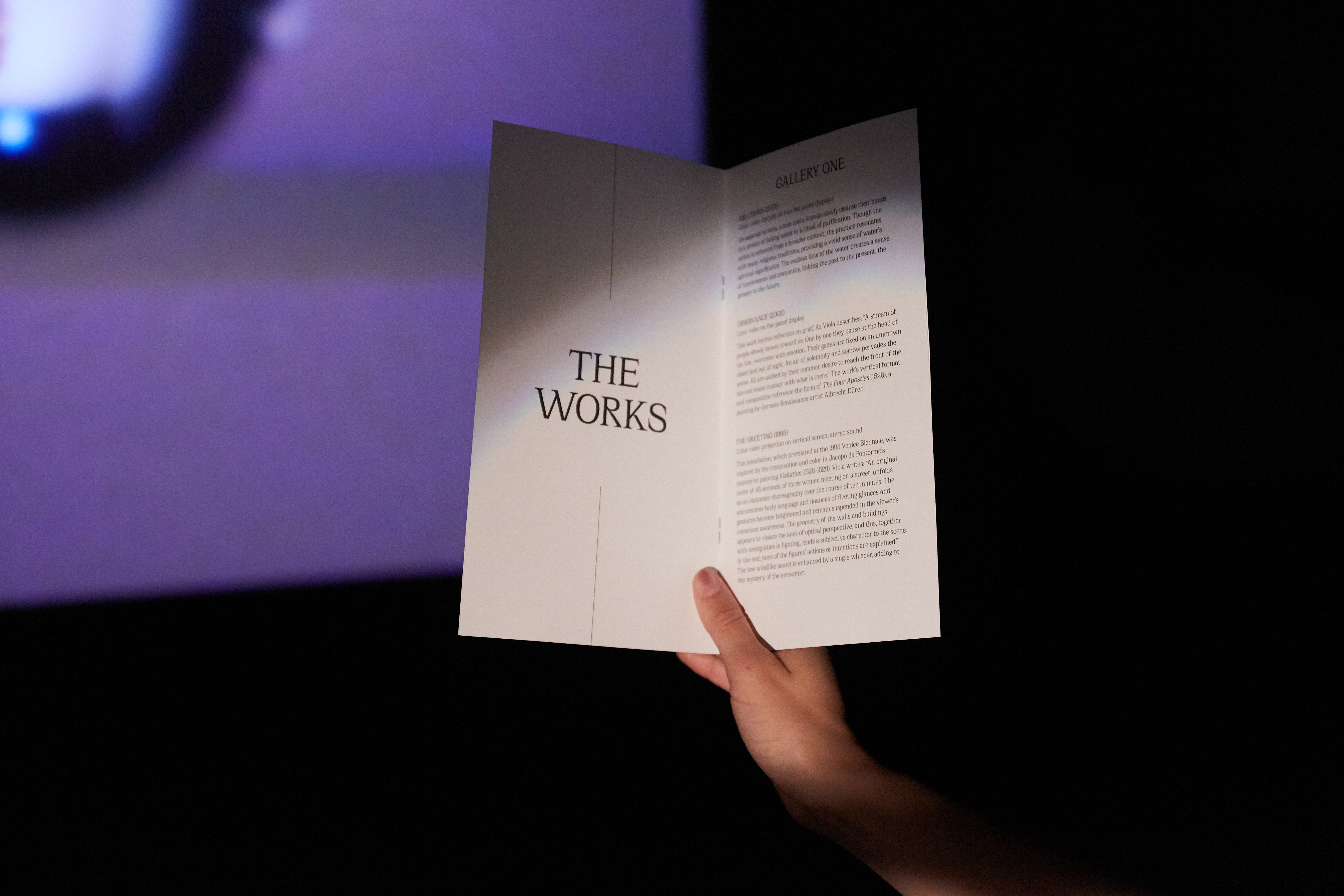 Bill Viola exhibition brochure - exhibition view