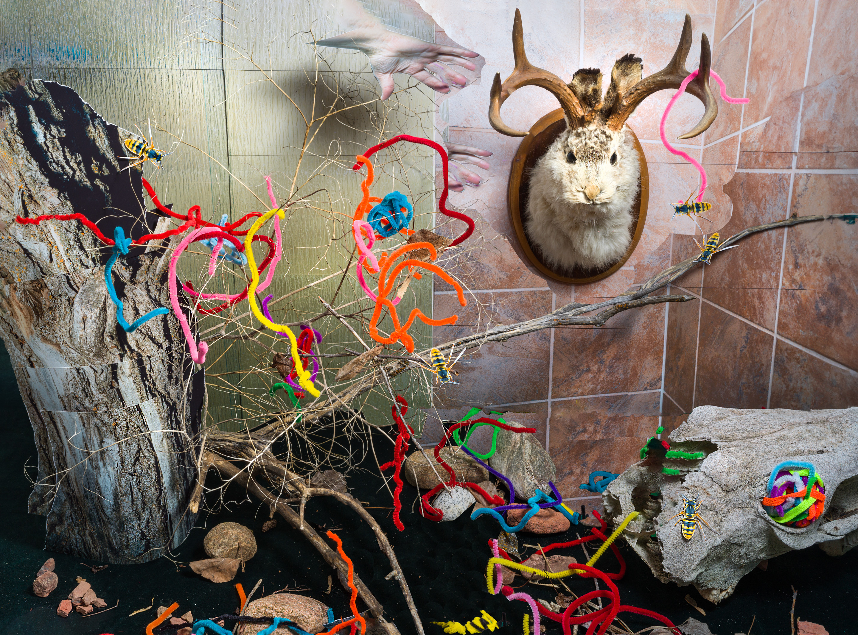 I dream of deer in an enchanted forest, 2023, archival pigment print, 20” x 27”