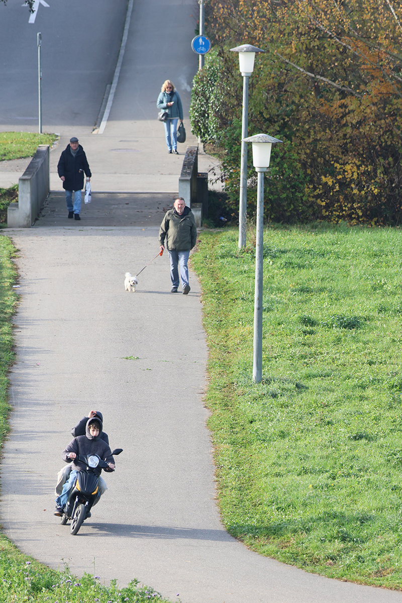 Ob mit dem T&ouml;ff auf zwei R&auml;dern oder mit Hund auf vier Beinen &ndash; Alle haben ihren eigenen Rhythmus.