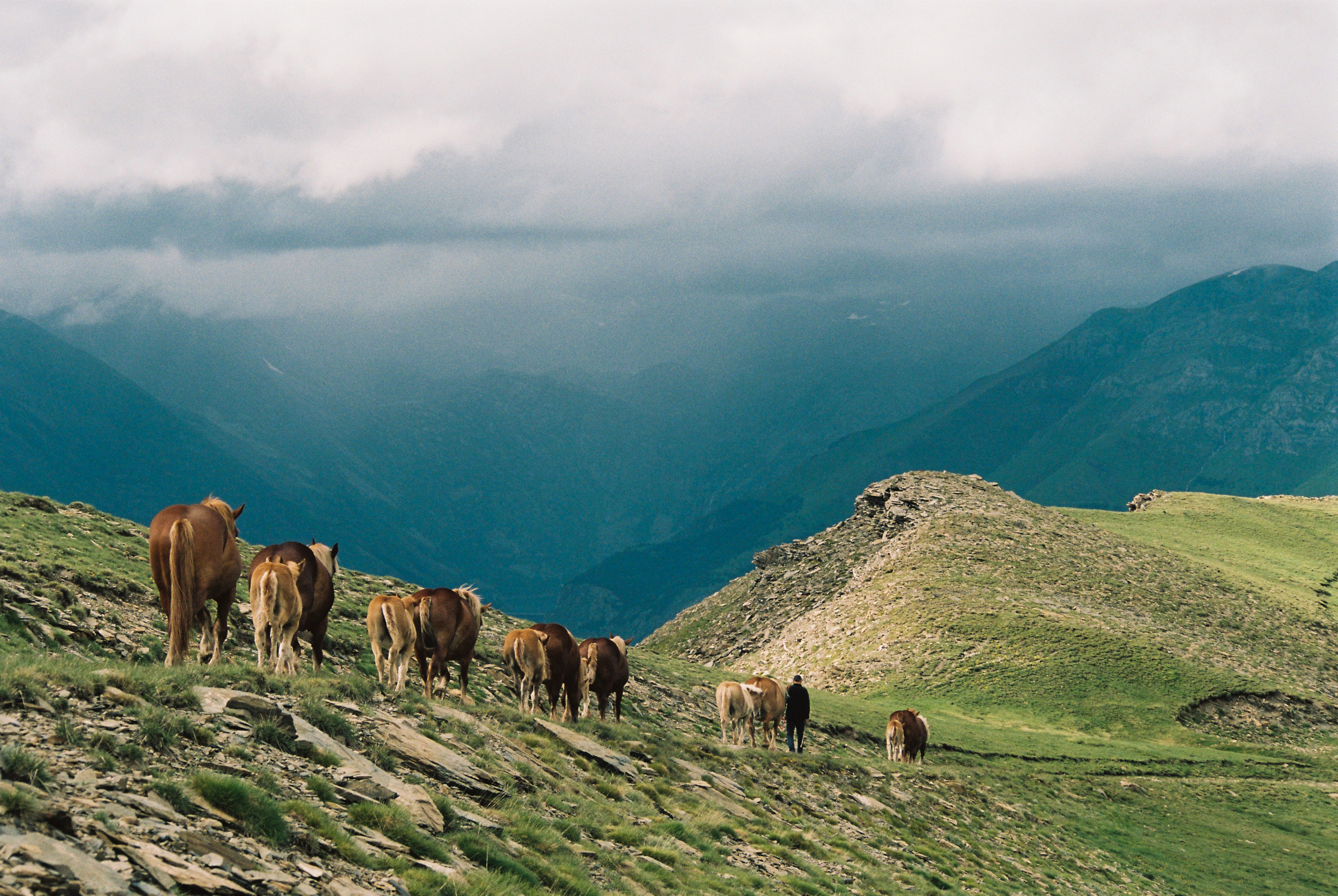 Story for Eldoradoexperience 