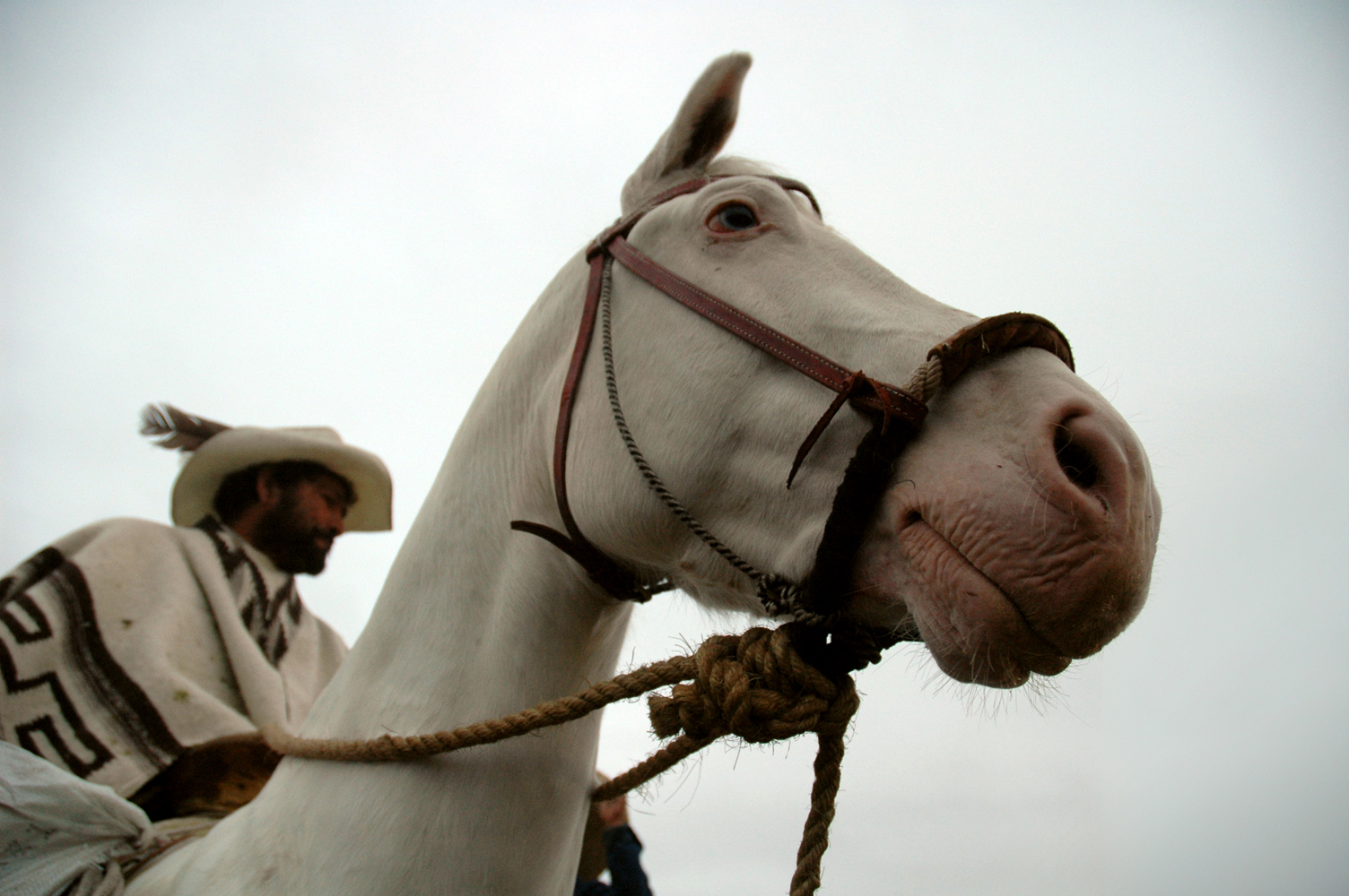 San Miguel de Allende, MX