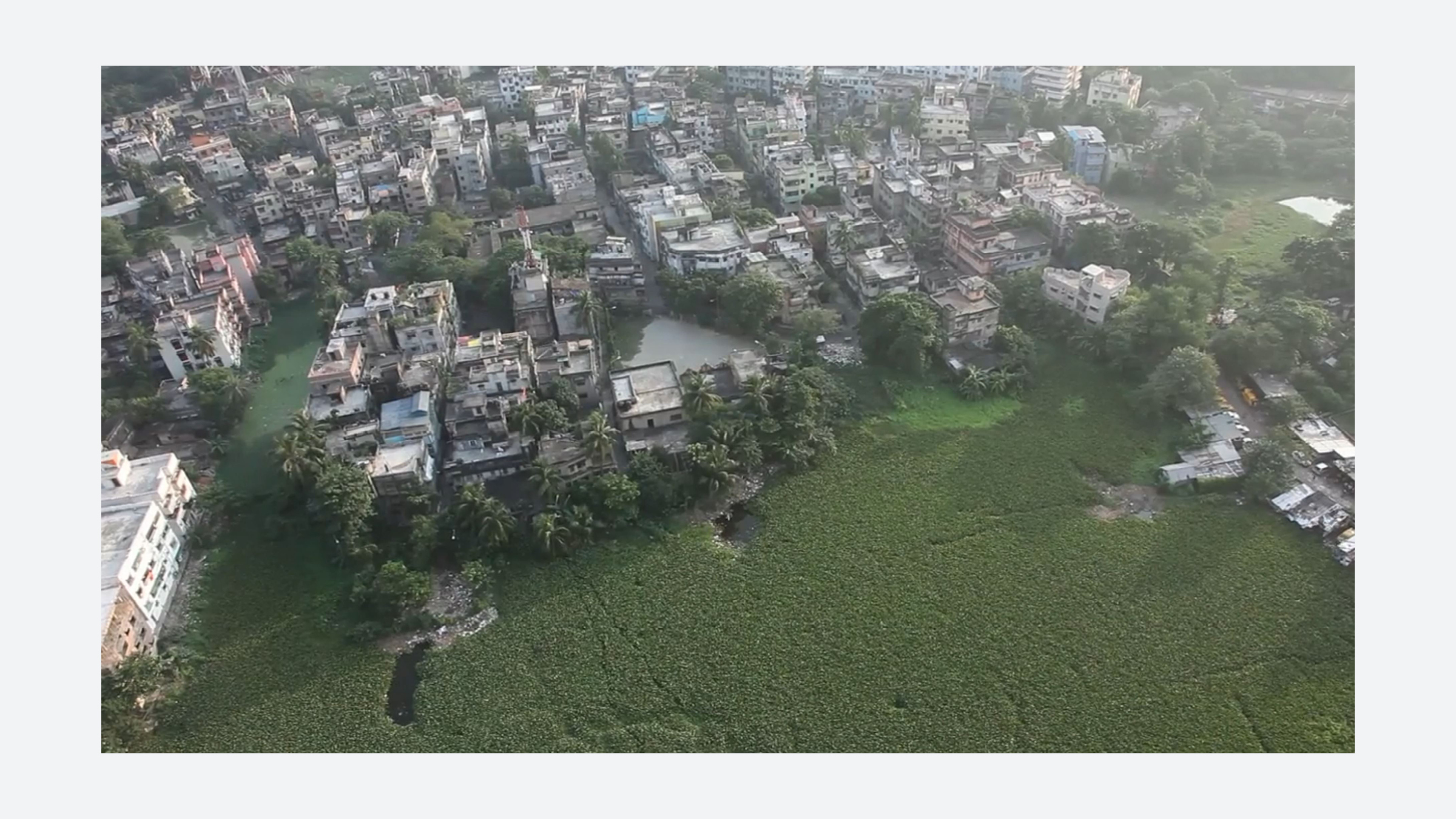 Fig. 2. Rapid urbanization linked to population growth has significantly reduced permeable groundcover in the city, resulting in the depletion of groundwater levels and an influx in rates of subsidence (est. 13.53 mm/year) (Sahu, et al., 2011). By providing neighboring agricultural operations with remediated sewage water, the East Kolkata Wetlands reduce demands on the city’s groundwater supply and thus aid in quelling subsidence in the region. (Image: Video Still from “East Kolkata Wetlands: Ecologist's Perspective” Sanjeey Chartterjee https://vimeo.com/34232936)
