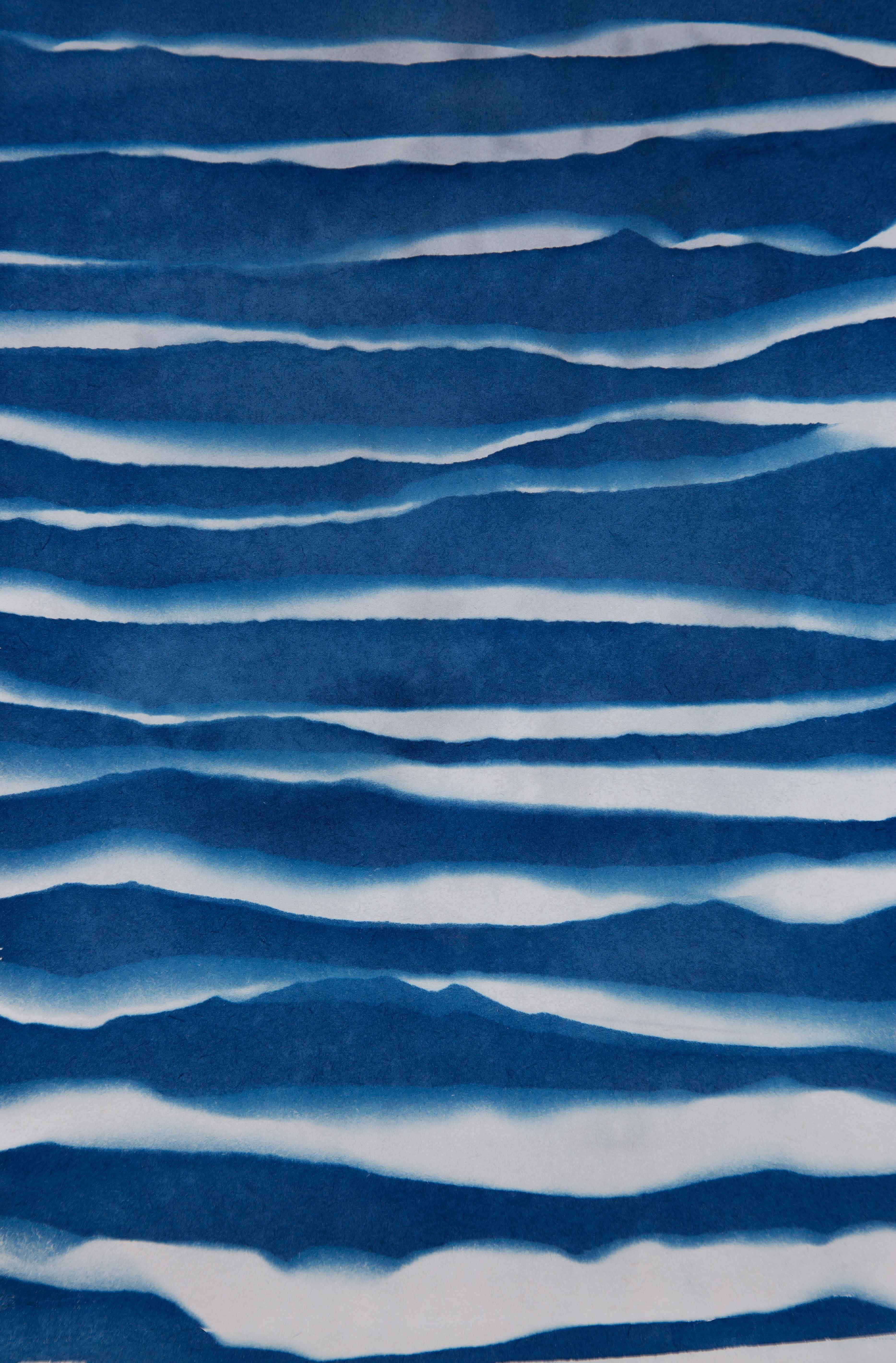 Art for Gaza 24 - View Cyanotype