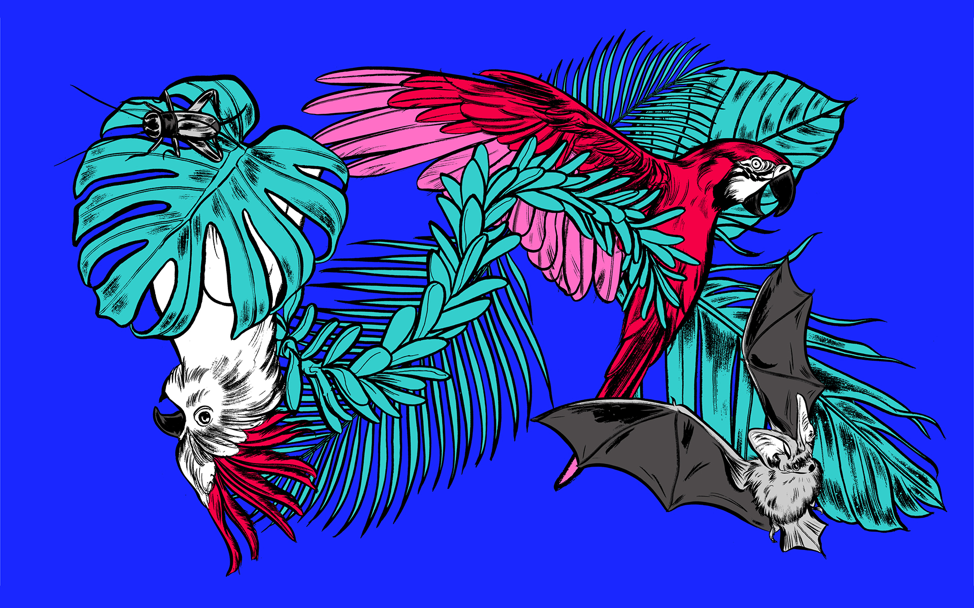 How do animals use sound and music? | Pedro Lourenco