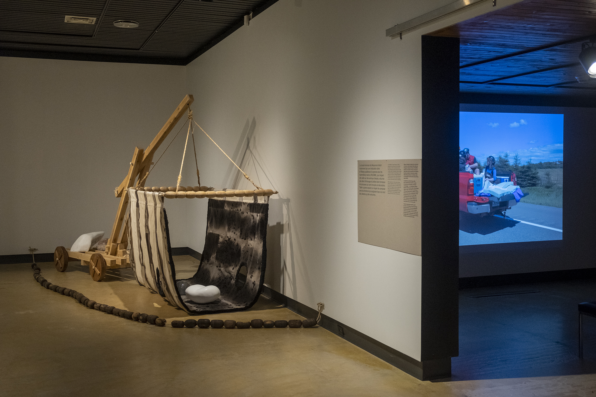 Dans l'œil du béluga, Galerie d’art Louise-et-Reuben-Cohen de l'Université de Moncton, 2025