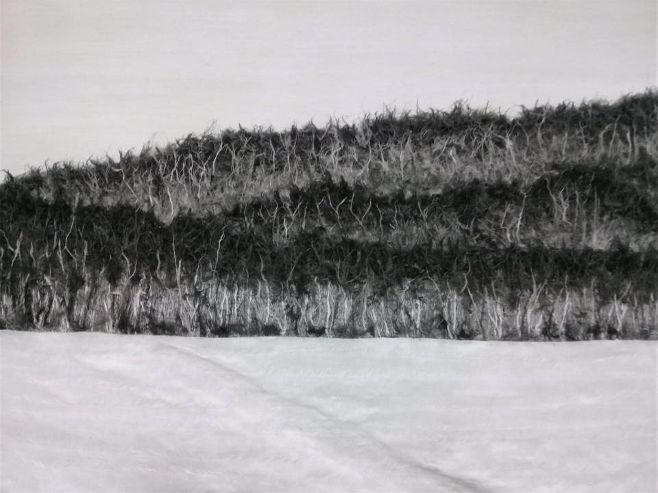 Gauze Works 50 x 70 cm Paper, Ash, Gauze