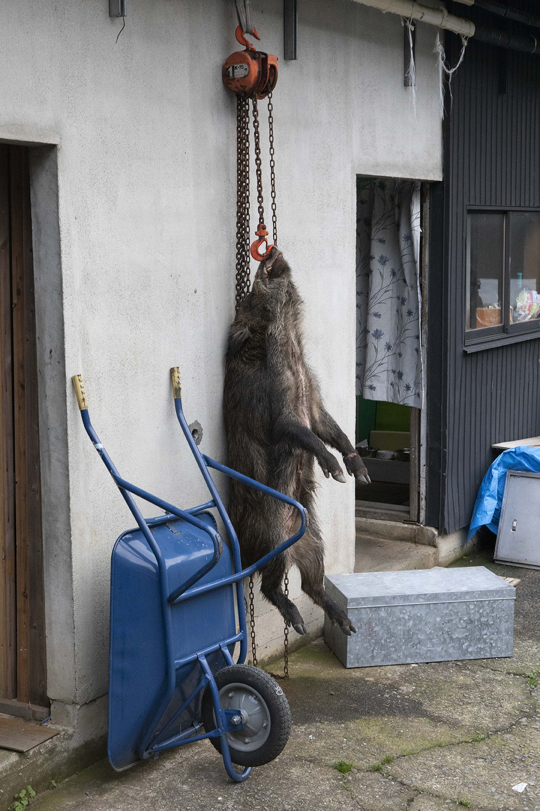 PHOTOGRAPHY RAF STUDIO at  VILLA KUJOYAMA