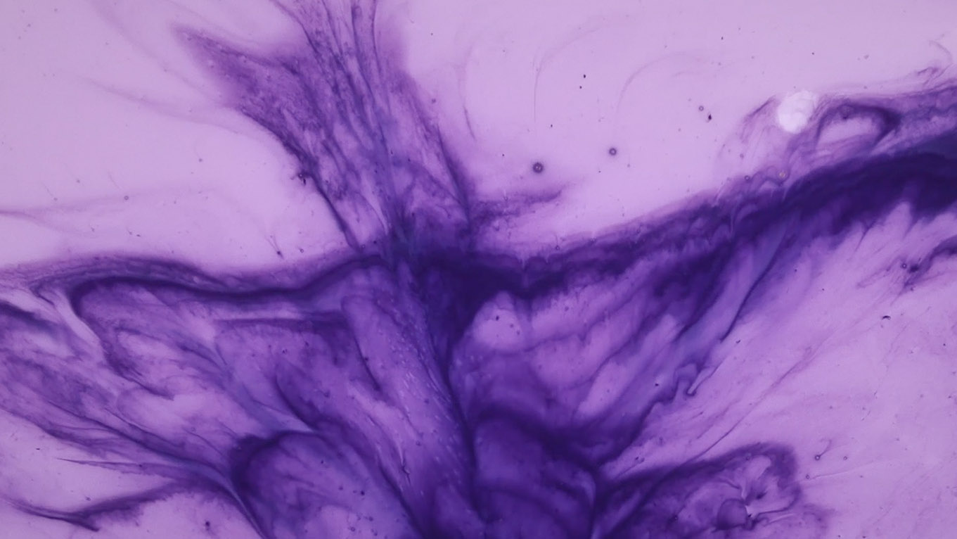 13/13Art direction, Design Connections series, 2021Director: Max Hemmings