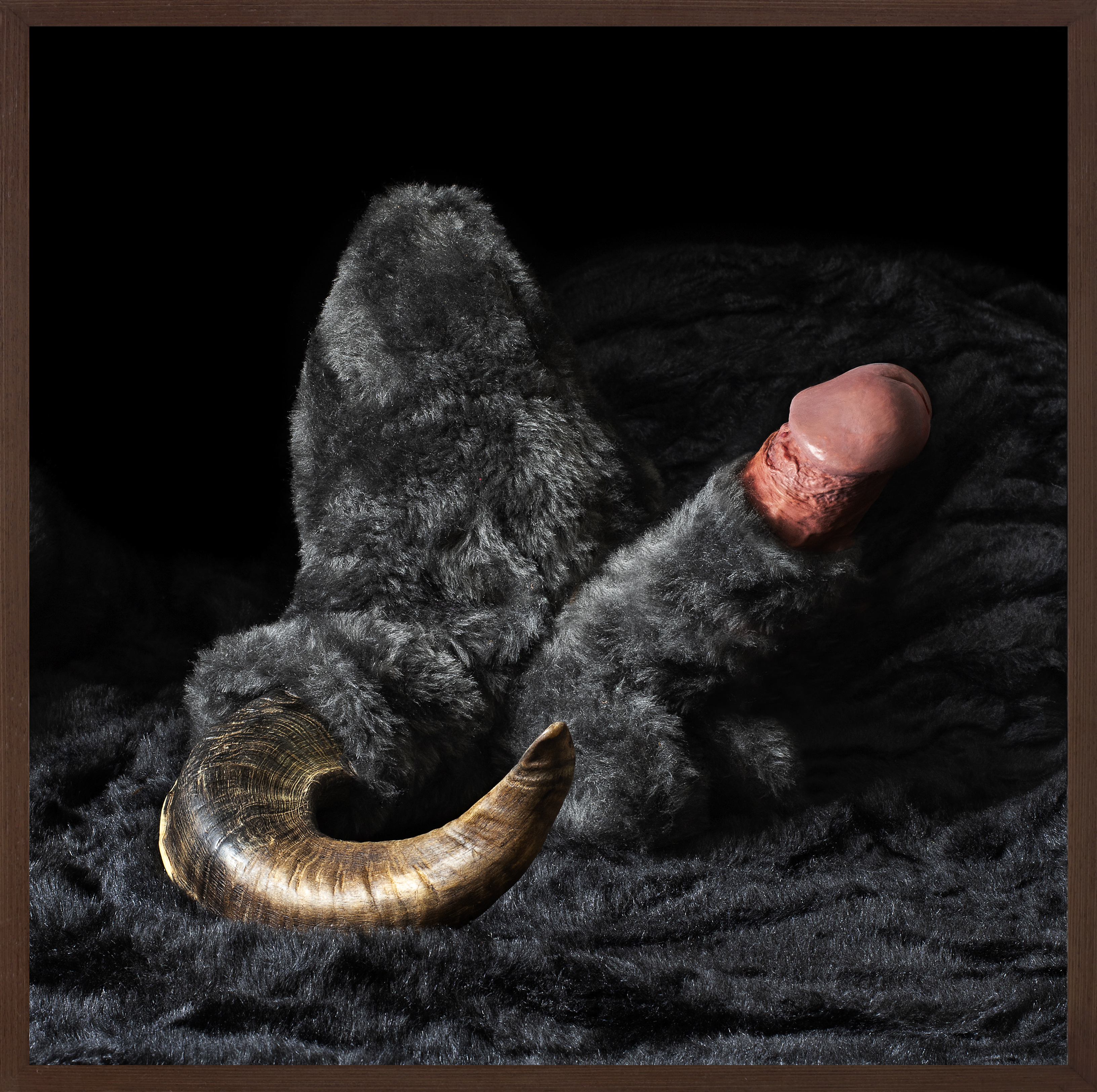 Of the lascivious nature II, 2023. Fine Art Photograph on composite aluminum, 70 x 70 cm.