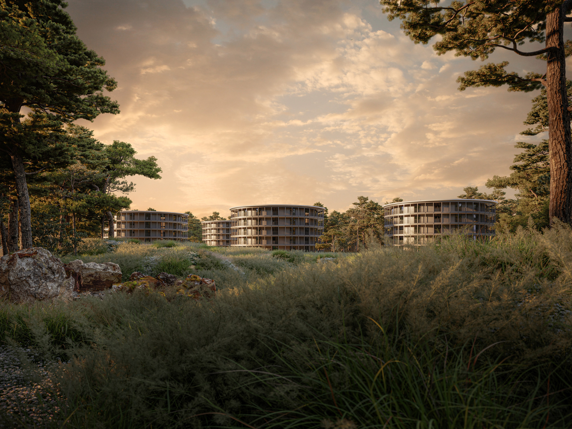 studio project | 2020