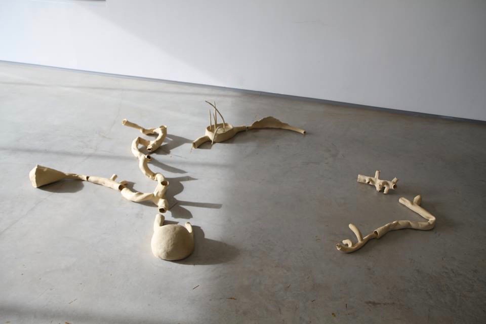 Boucherie/Charcuterie, 2019