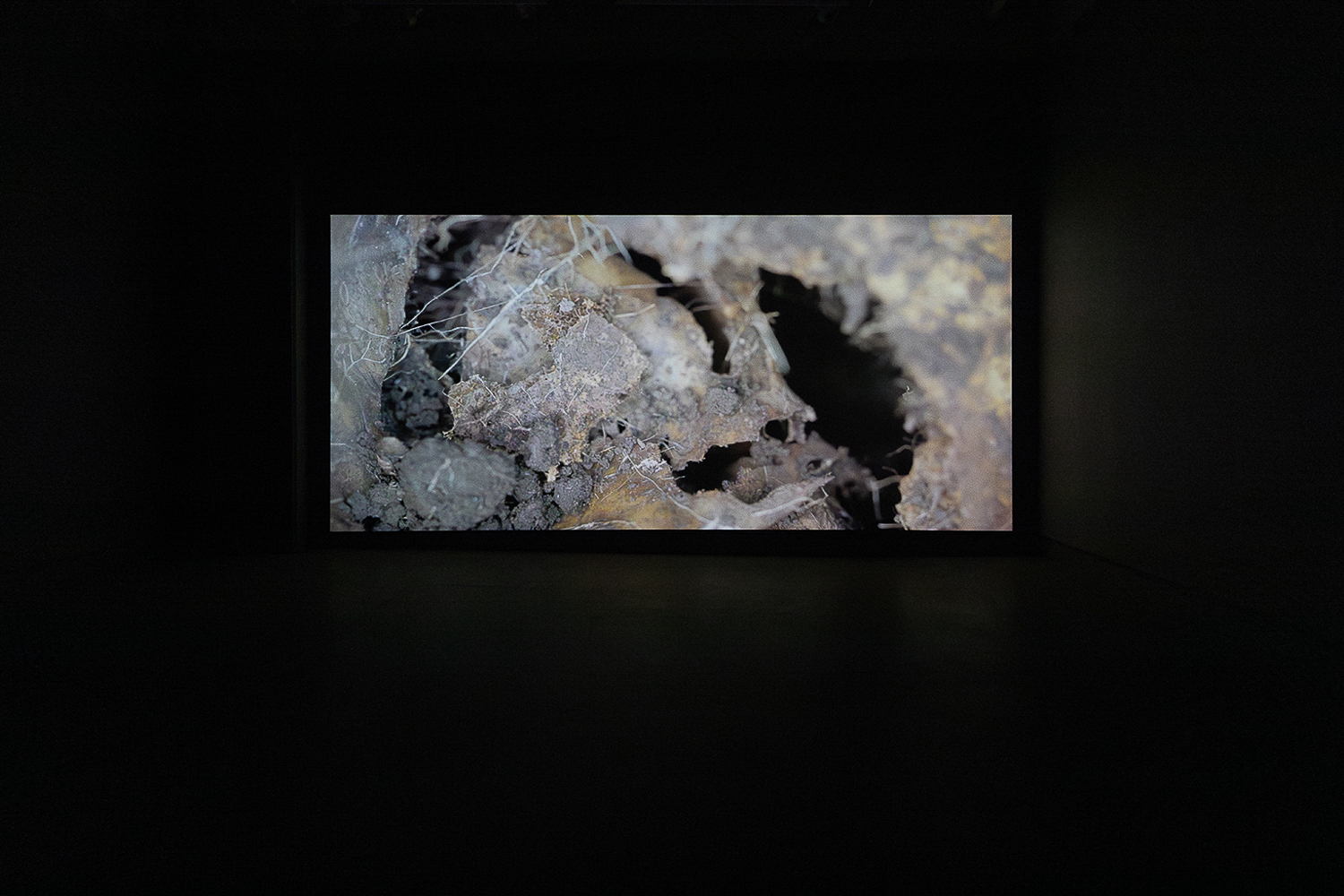 Maya Watanabe. Liminal, Occurrence (MOMENTA 2023). Photo : Mike Patten.