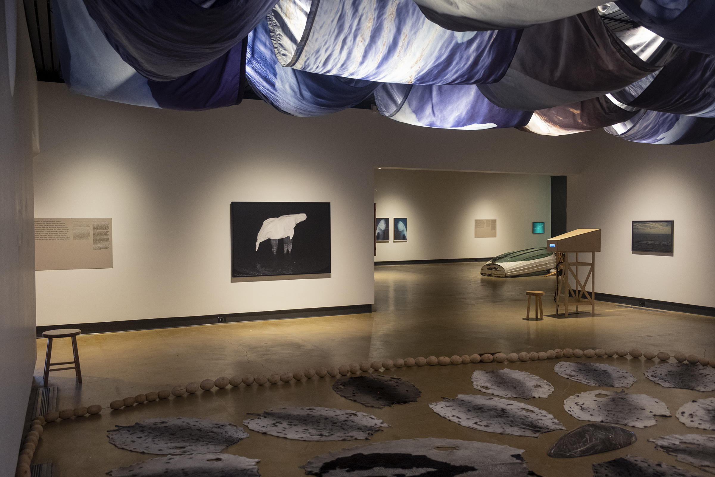 Dans l'œil du béluga, Galerie d’art Louise-et-Reuben-Cohen de l'Université de Moncton, 2025