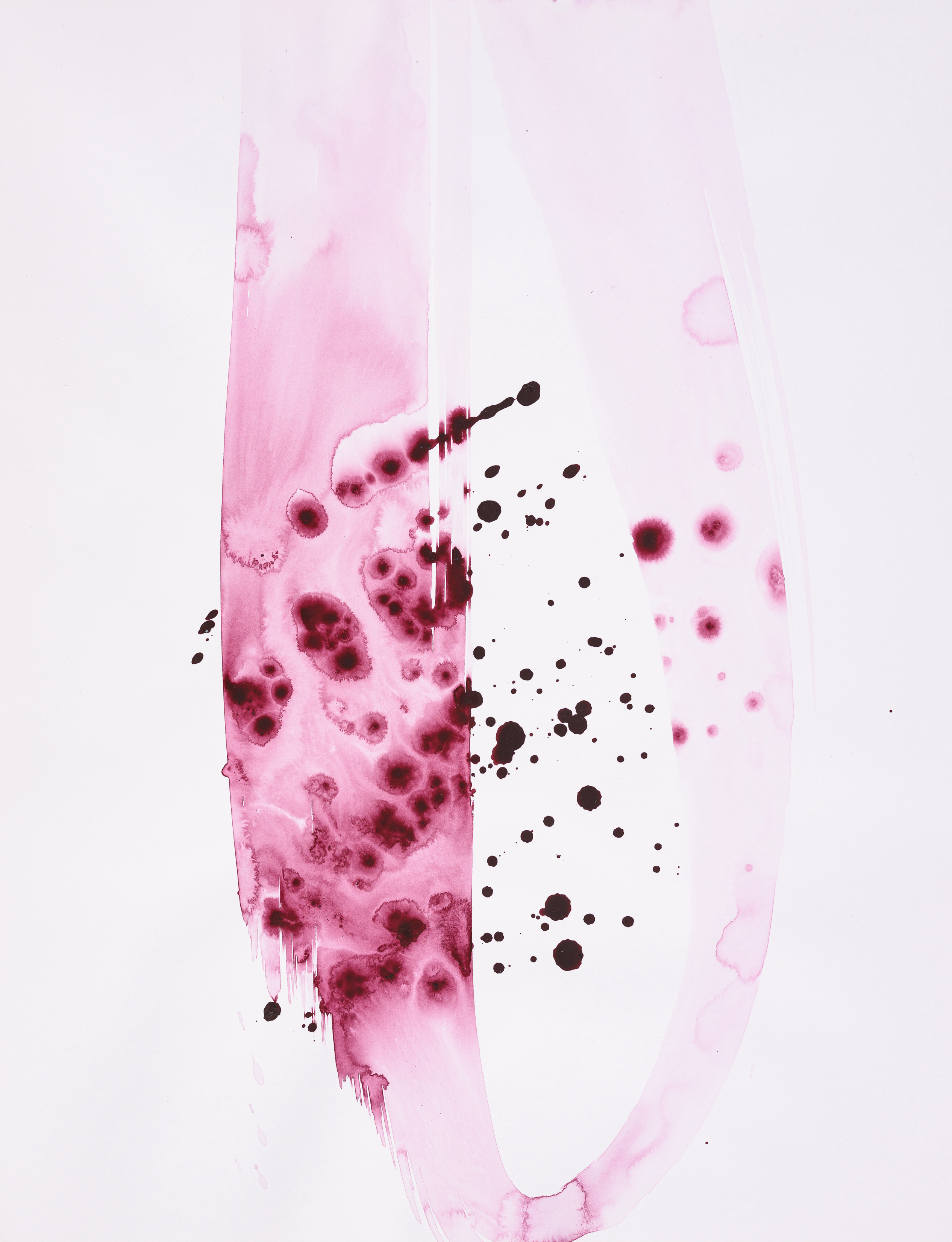 Study of nature 2020Acrylic on paper 65×50cm