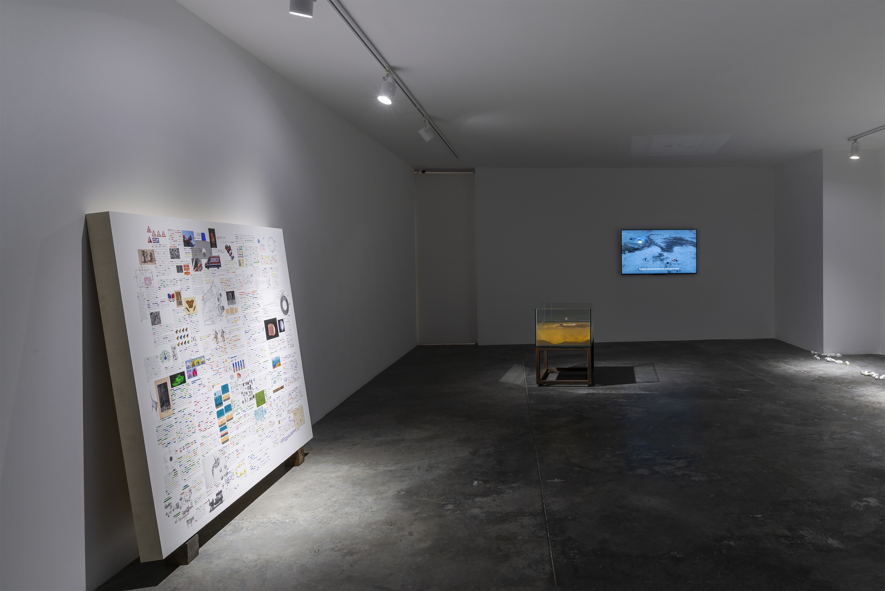 Exhibition view: Rocks and winds, germs and words, 2019, Sanatorium, Istanbul