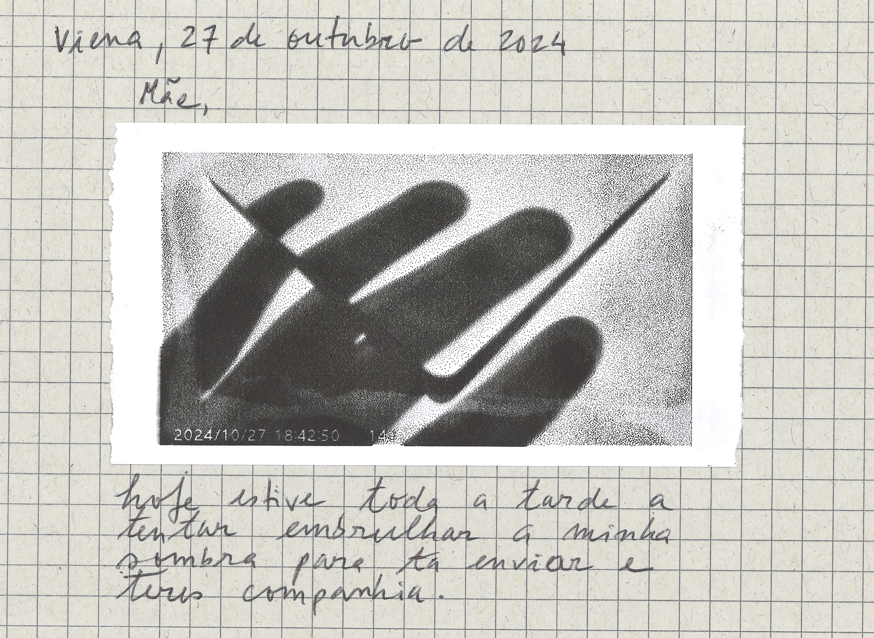 O ENVELOPE É CASA / THE ENVELOPE HOUSES