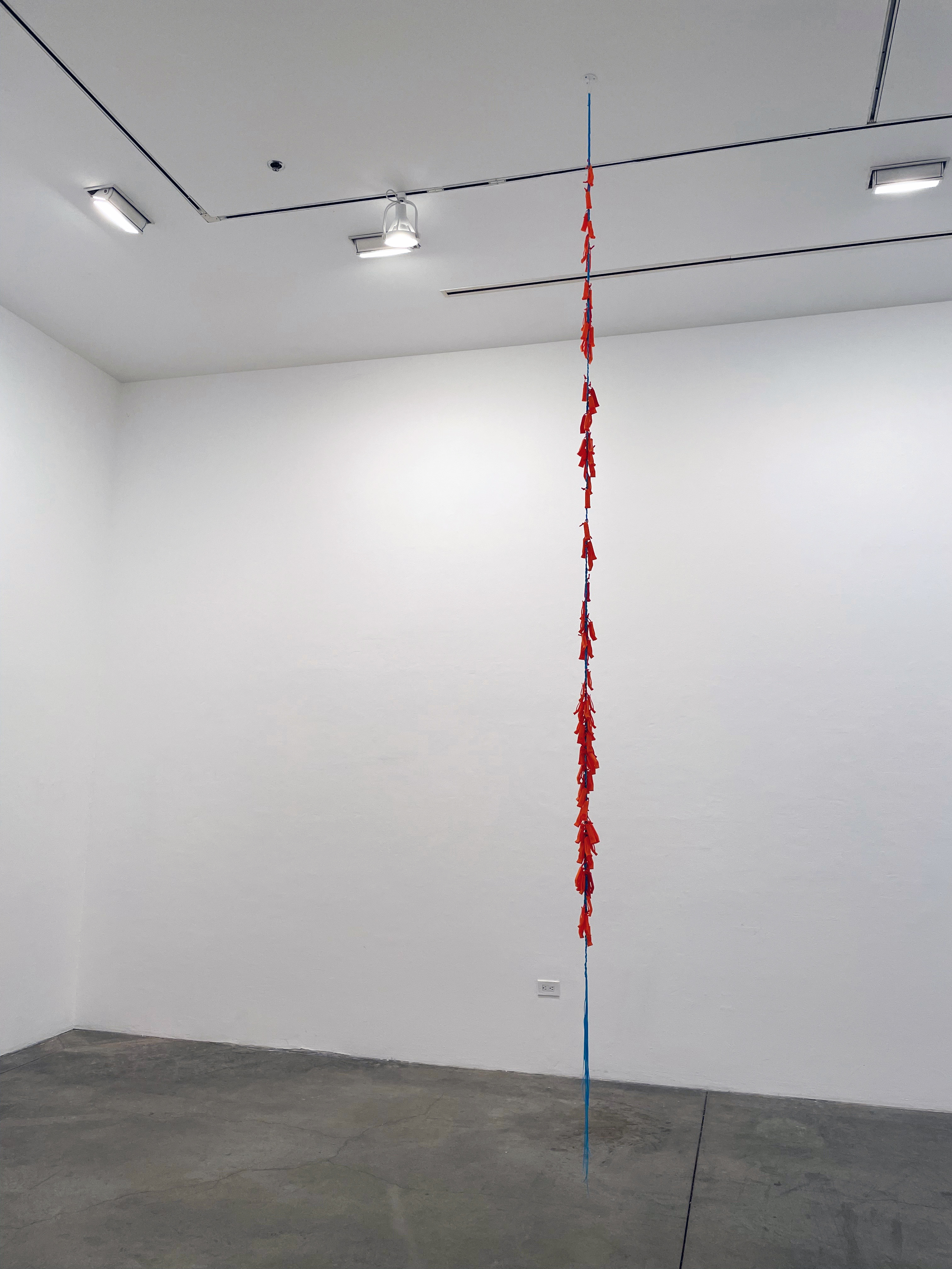 “hypervigilance” plastic craft cord, rape whistles (14’)