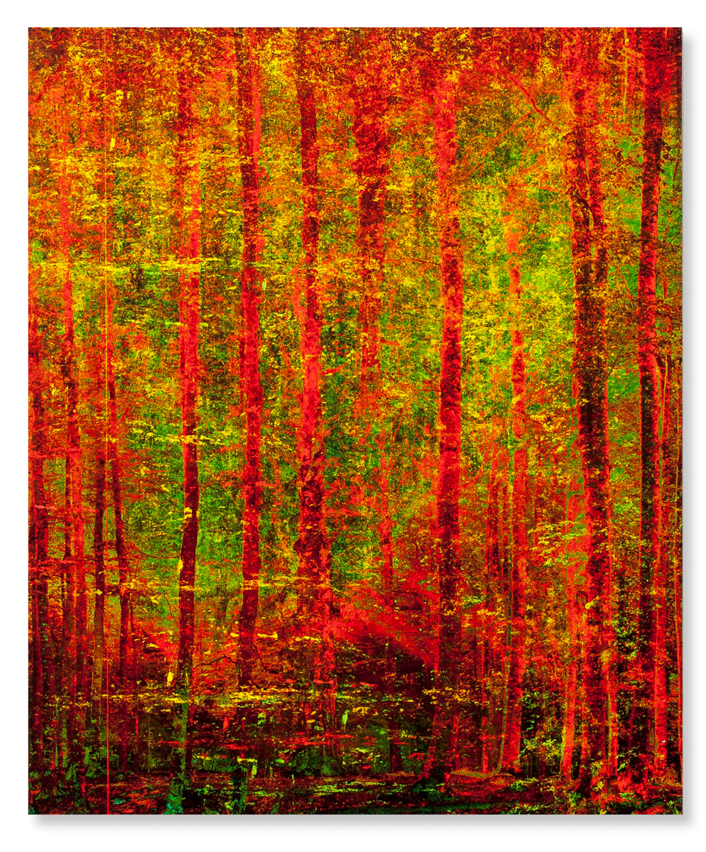 "Virus, II", 47x57cm, 2020