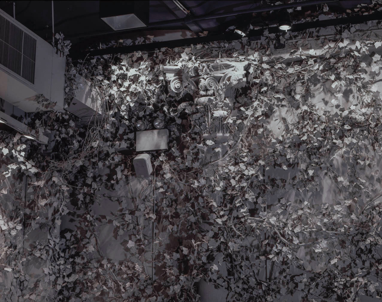 SITE for WilliWear, Fifth Avenue Store, New York, NY, Photographed by Andreas Sterzing, 1988