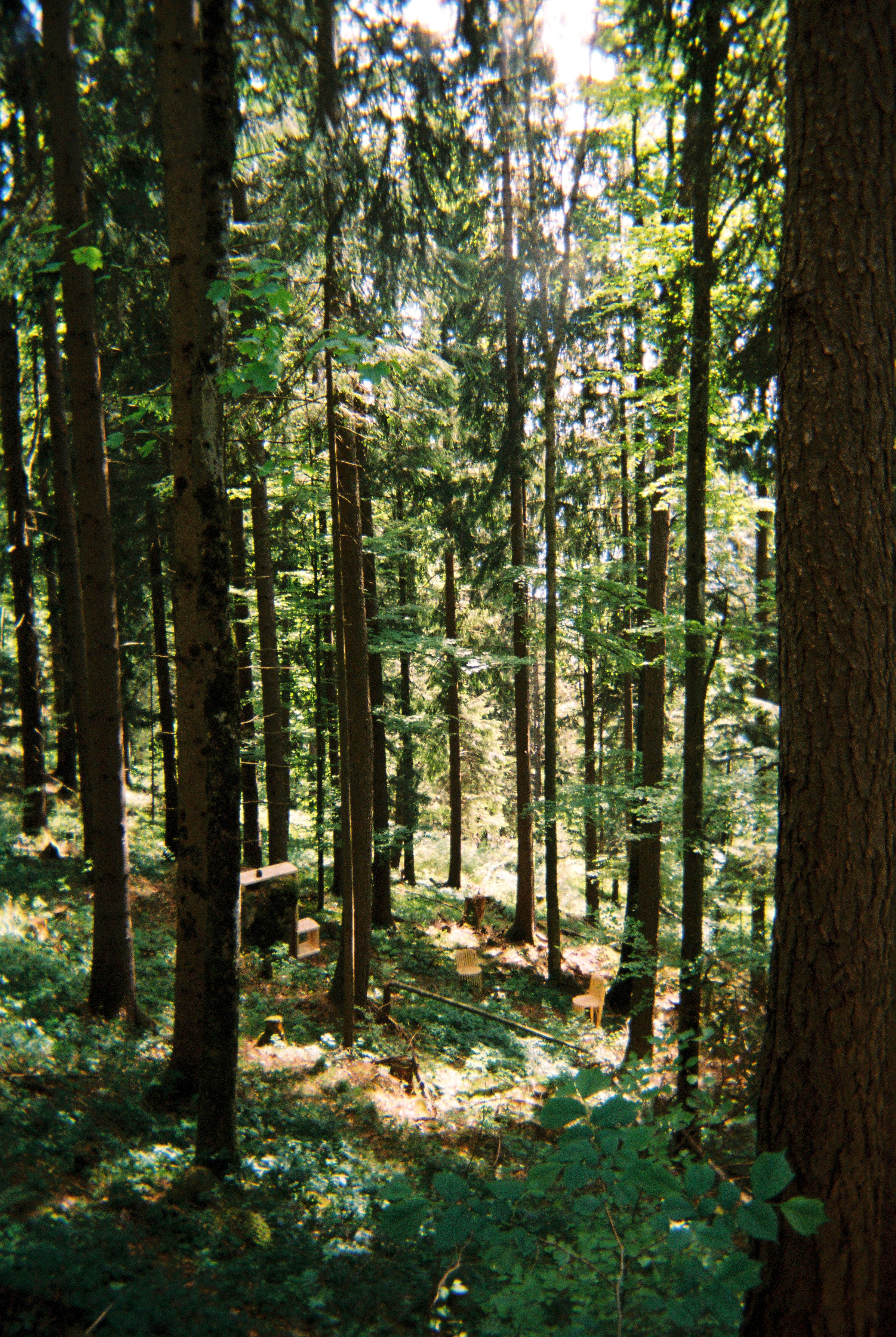 Photographs taken while walking on THE LINE in Liechtenstein by Studio Venice