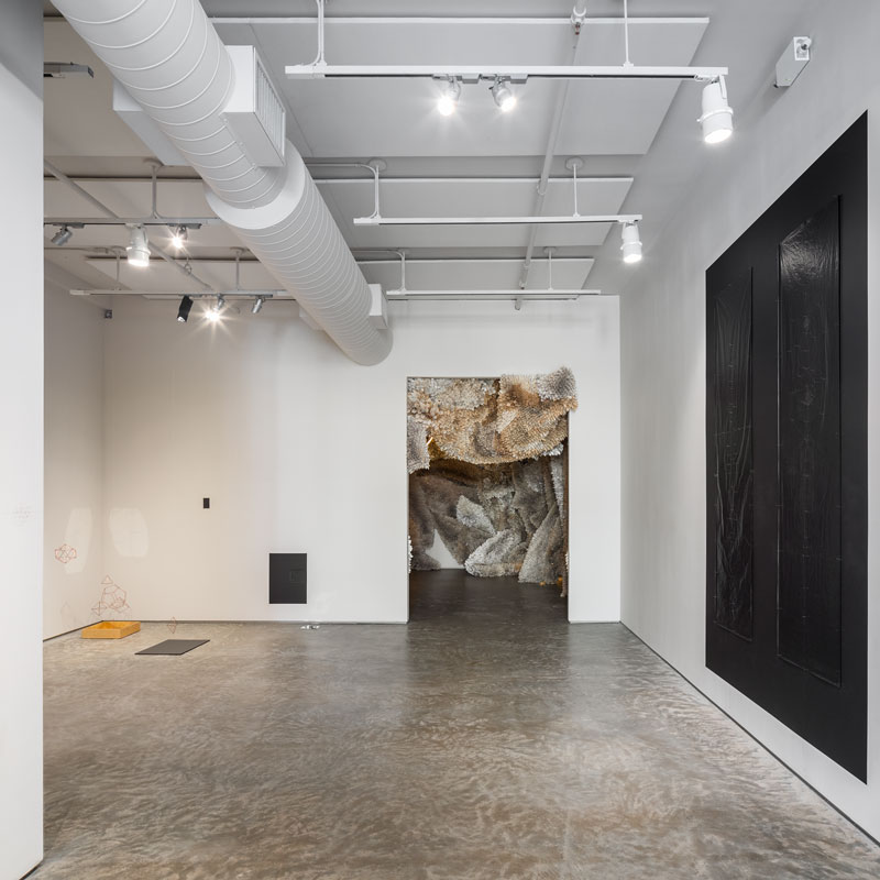 Installation view: Without a Solitary Object of Vision, curated by Rashmi Viswanathan. Amina Ahmed, Pondering the Fish, 2019, a drawing on site: graphite, paper, cotton thread, copper, light, mirror, water, shadow, paint. Samuelle Green, Manifestation 5, 2019, paper and wire. Photo credit: Rafael Gamo.