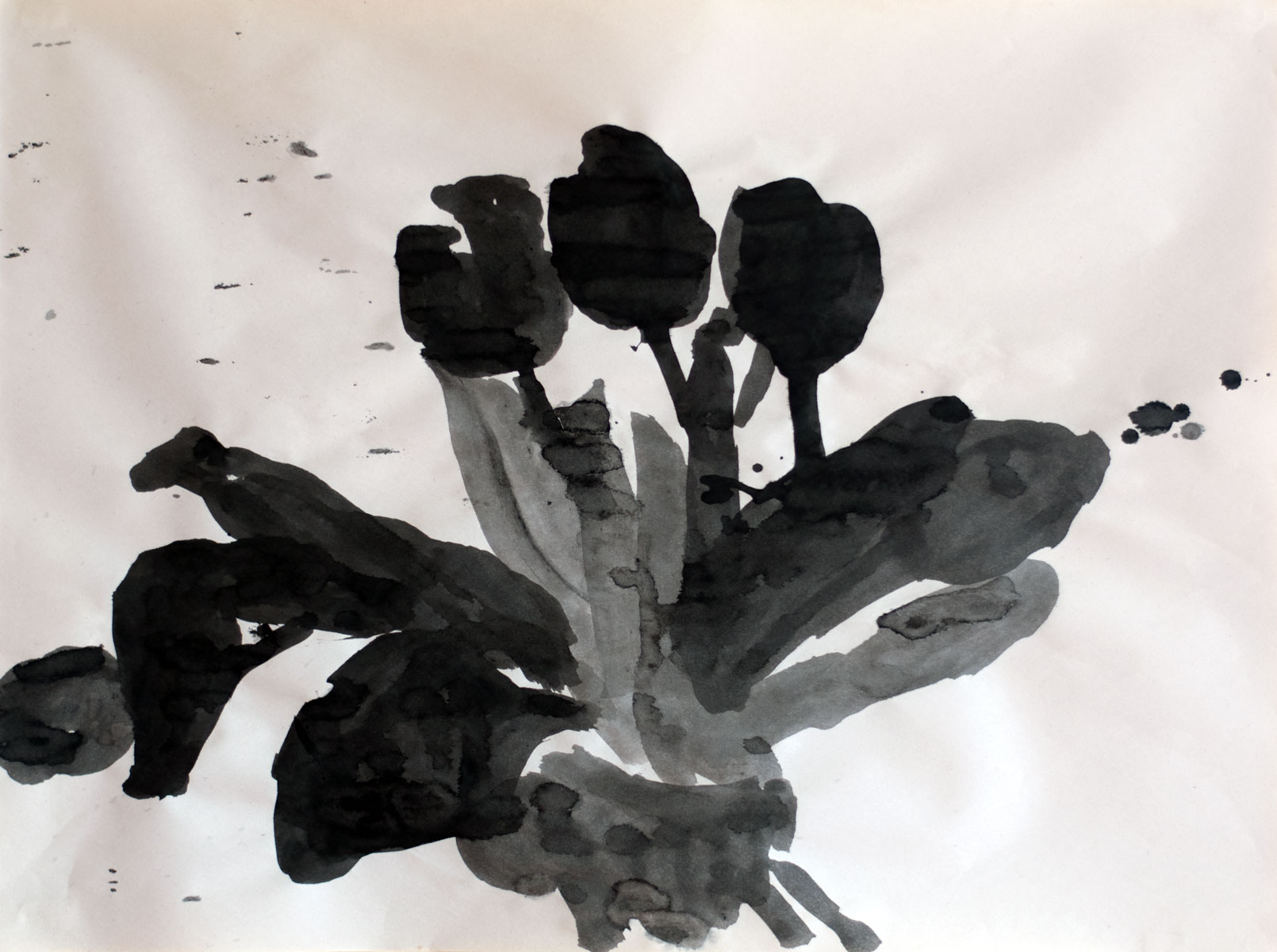 Ink on newsprint drawings — Ekaterina Vanovskaya