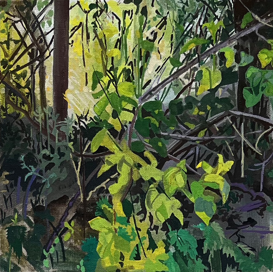 Sunlit Thicket, Walthamstow Marsh (2023), gouache on linen board, 20 x 20cm