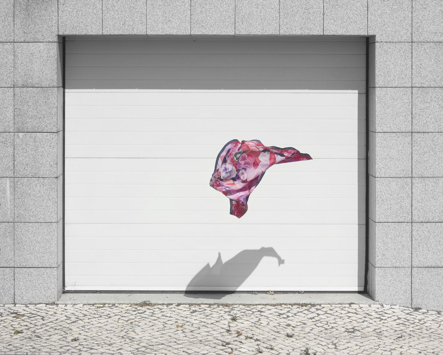 photos for Ana Rodrigues