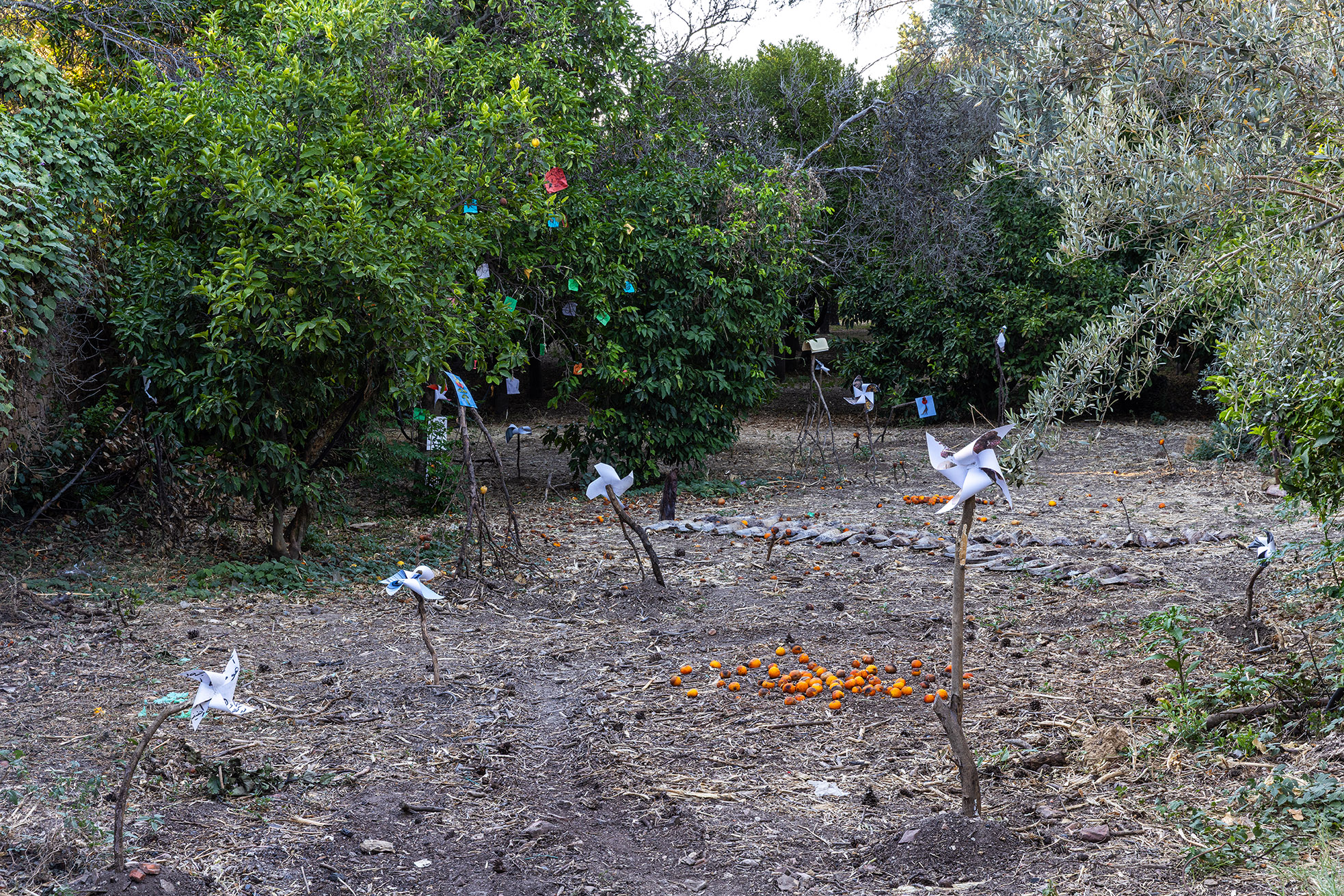 Mohammad Alfaraj, Catch me before I fall, new commission for the exhibition ONCE WE WERE GARDENS, 2025, DEO, Karavas Estate,Kampos, Chios Island, Greece, courtesy of the artist and DEO, photo: Nikos Alexopoulos
