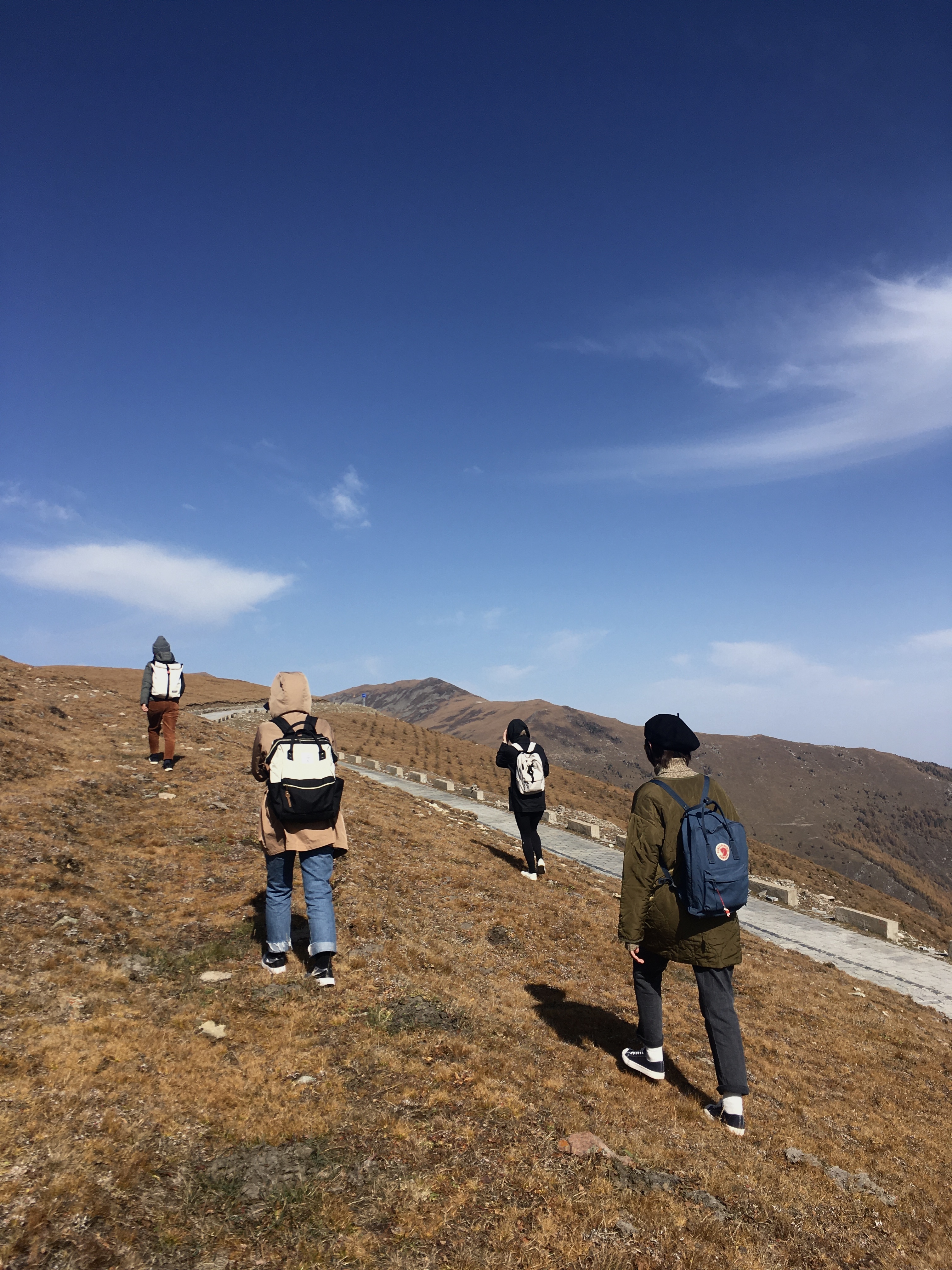 Excavate our annual group trip in Shanxi Province, China