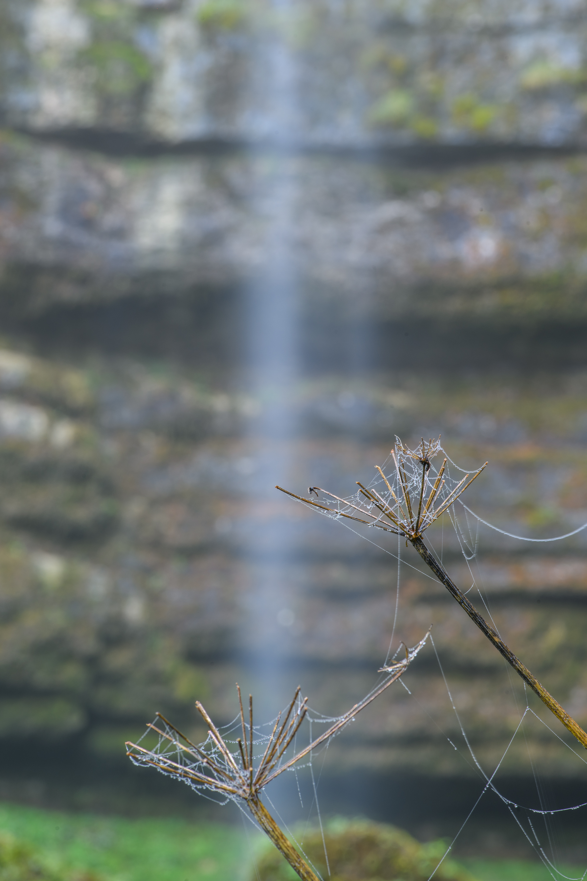 Chute du Lançot dans le cirque de consolation (Doubs).