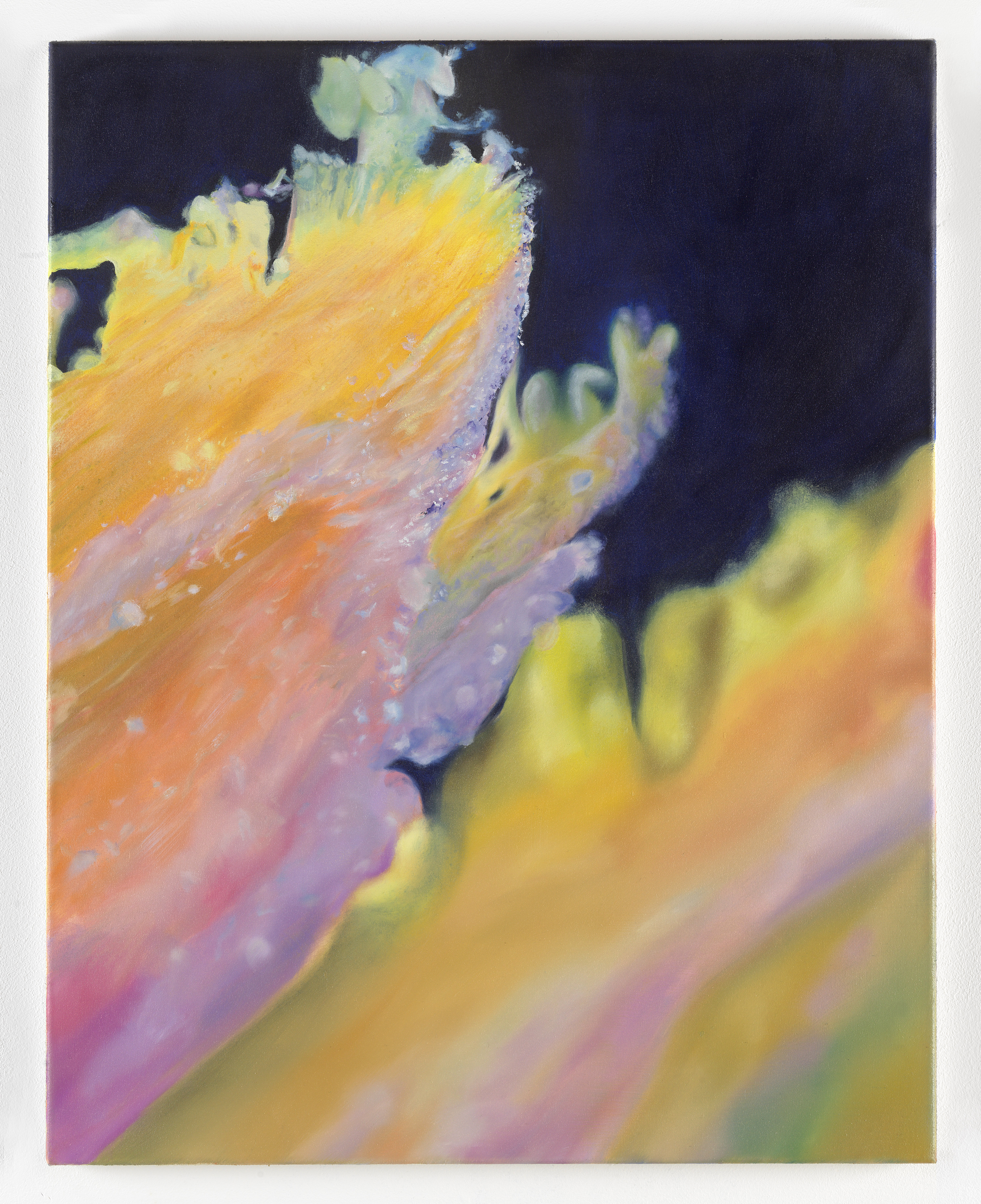 Braxton Hicks, 63x50 cm, oil on calico