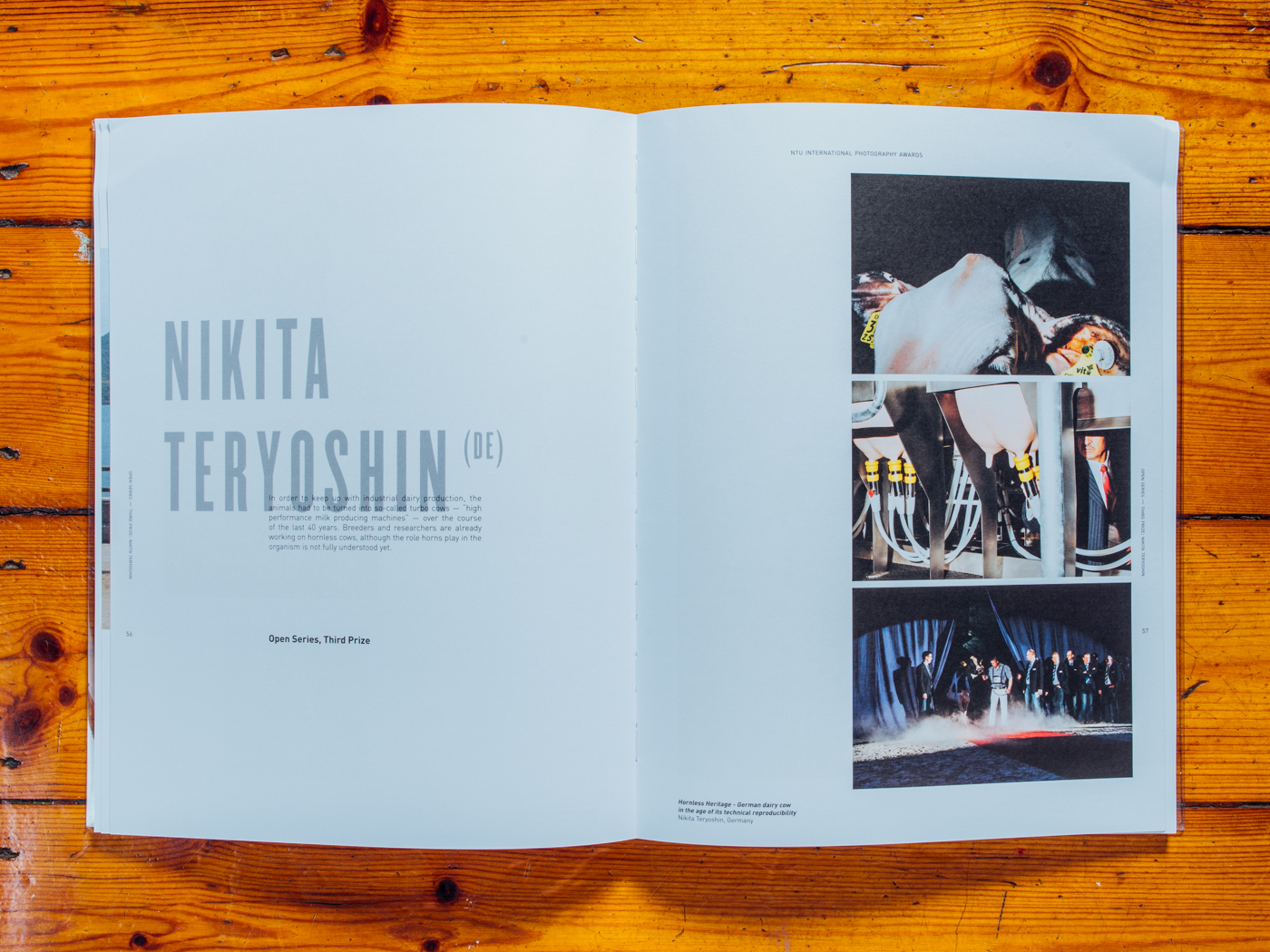 NTU Internation Photography Award, Singapore 2017 / Ausstellungskatalog 3. Platz Dokumentarfotografie / Januar 2018